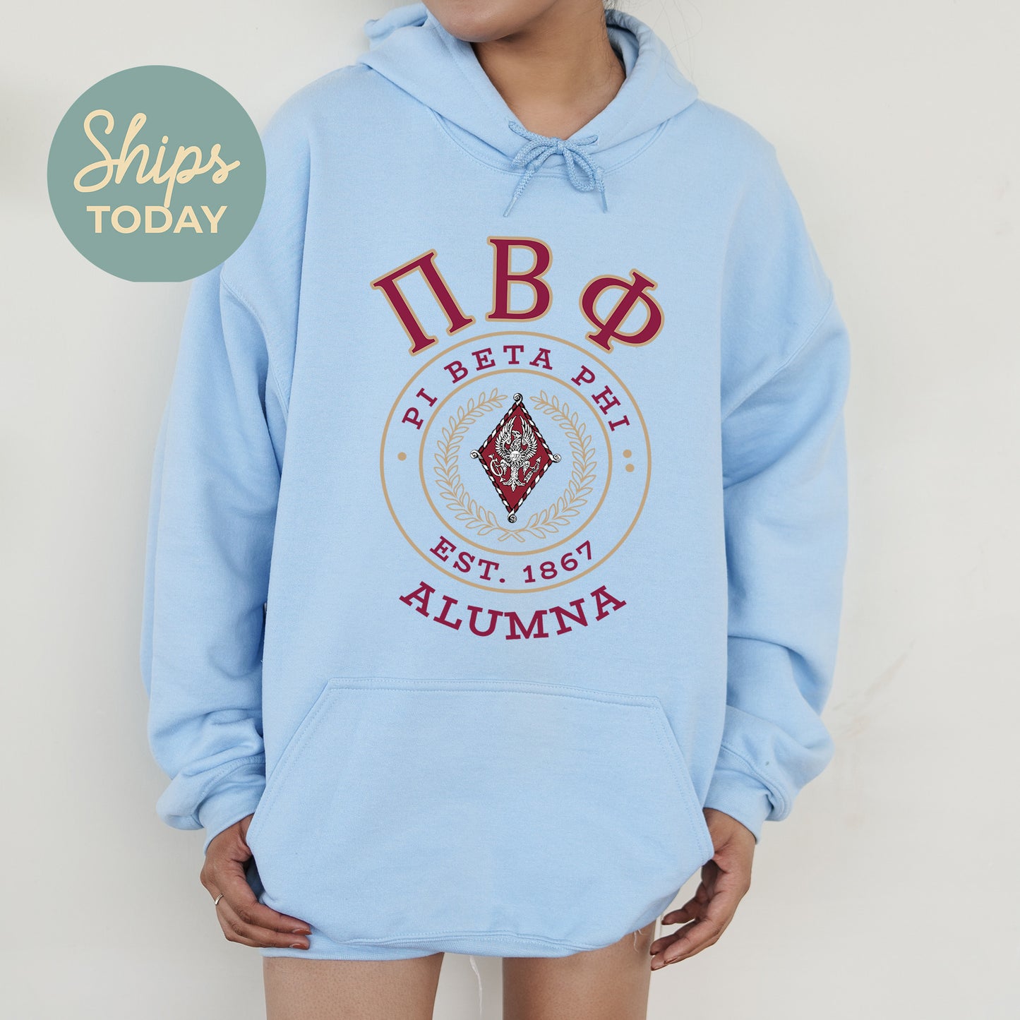 Pi Beta Phi Alumna Vintage Sorority Hoodie _ 31029g