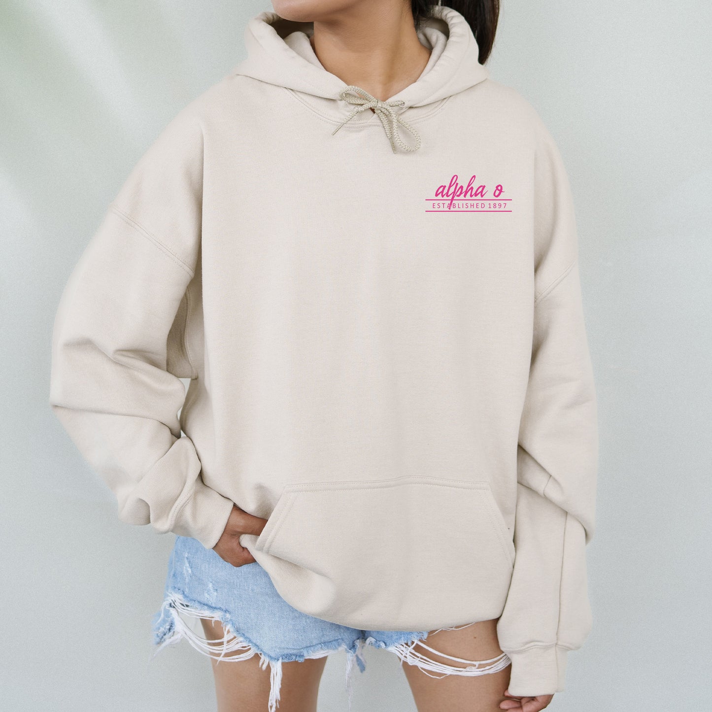 Alpha Omicron Pi Classic Pink Sorority Hoodie _ 39090g