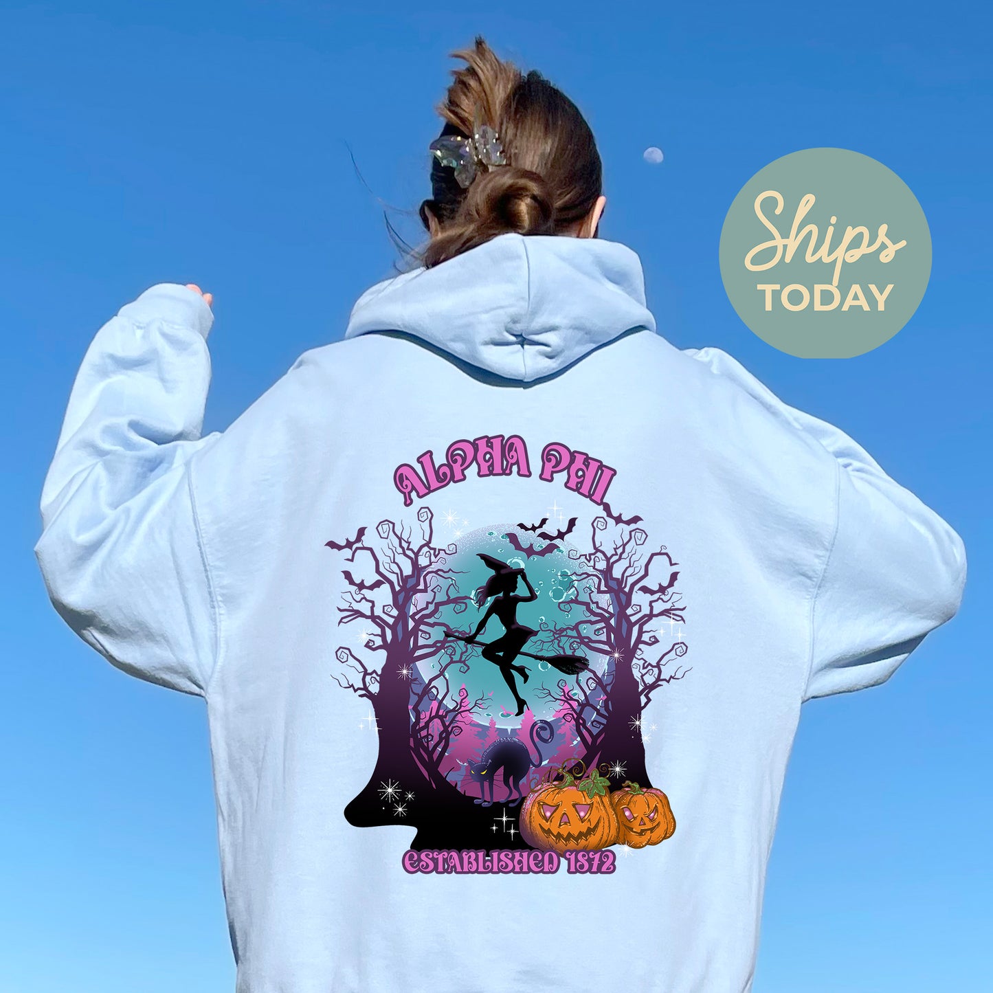 Alpha Phi Halloween Witch Sorority Hoodie _ 36231g