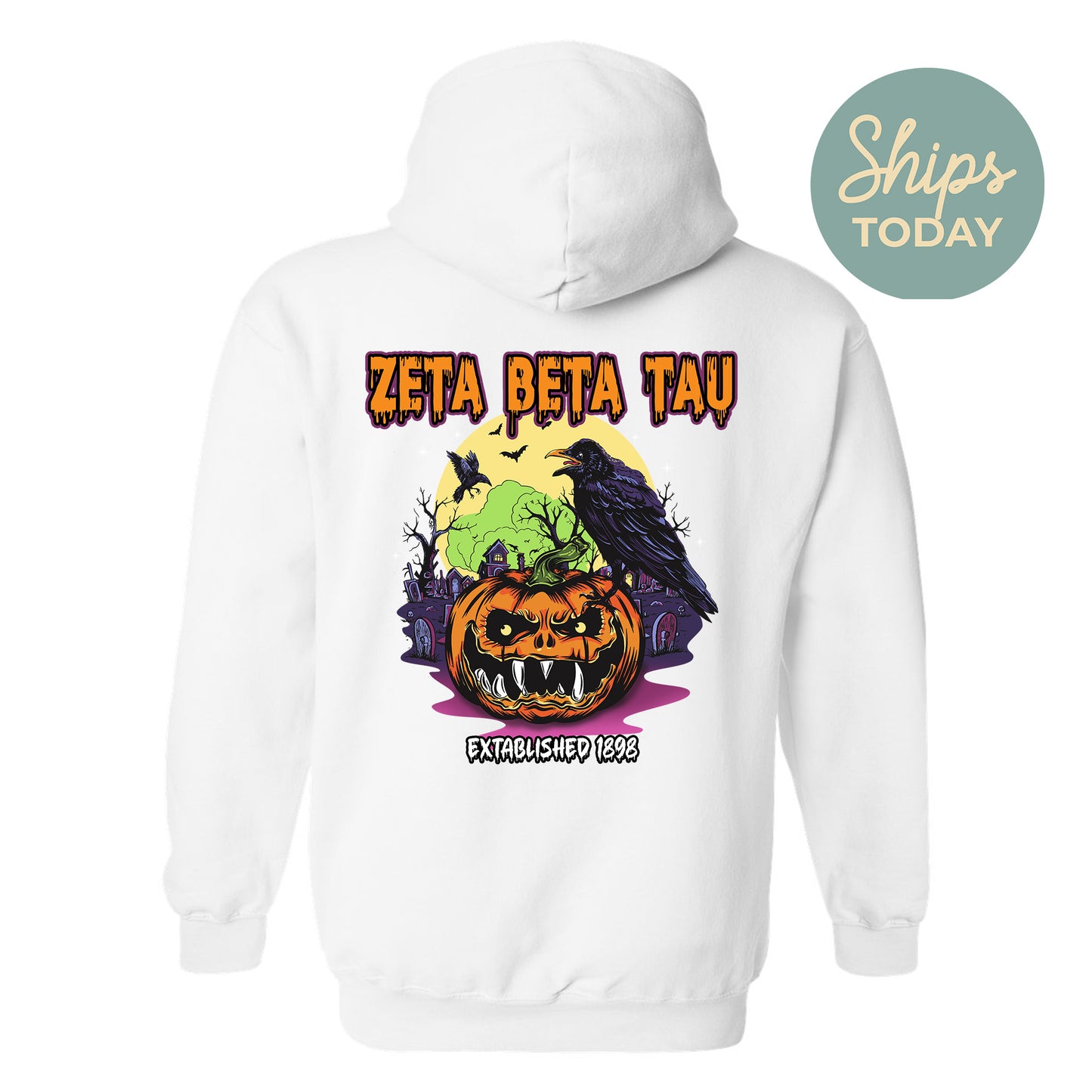 Zeta Beta Tau Halloween Bats Fraternity Hoodie _ 36281g