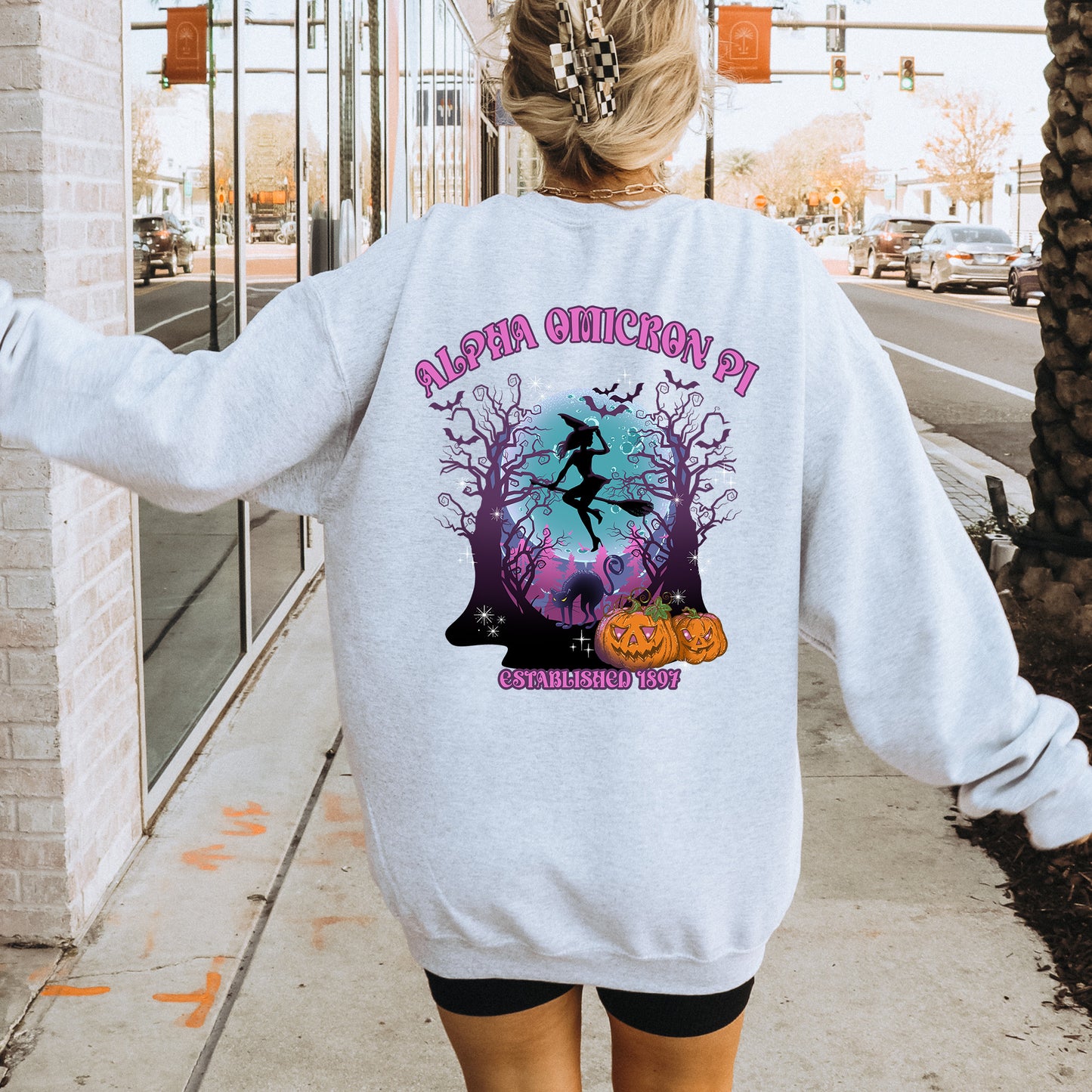 Alpha Omicron Pi Halloween Witch Sorority Sweatshirt _ 36230g