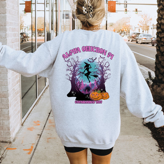 Alpha Omicron Pi Halloween Witch Sorority Sweatshirt _ 36230g