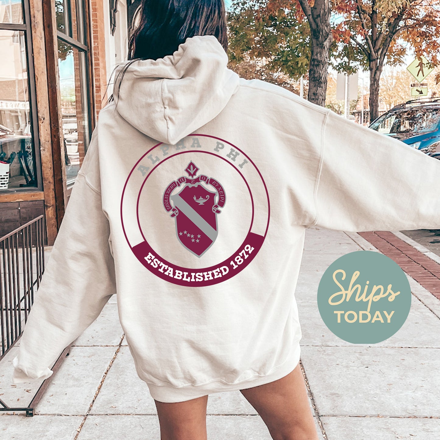 Alpha Phi Crested Tradition Sorority Hoodie _ 32821g
