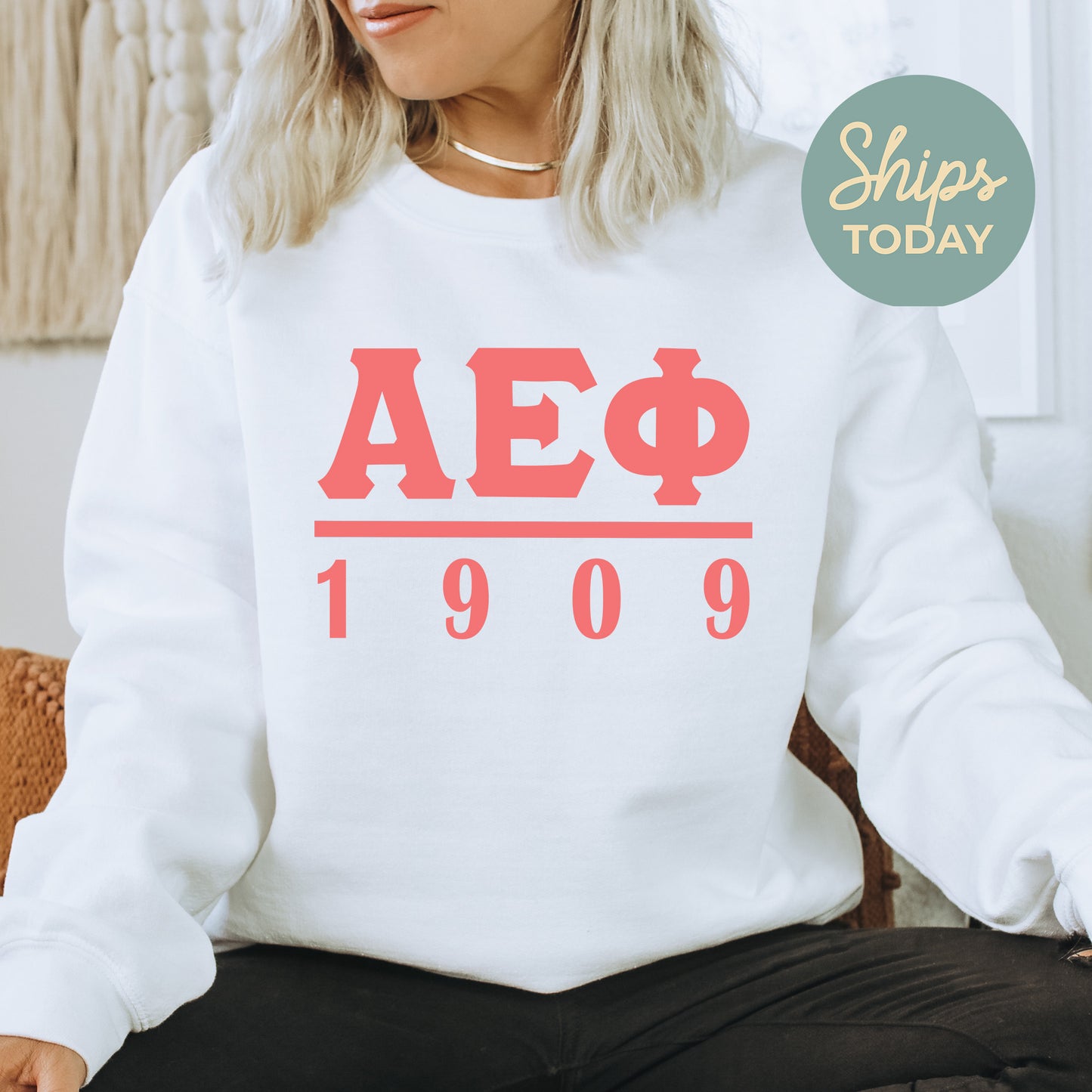Alpha Epsilon Phi Monochromatic Sorority Sweatshirt _ 30845g