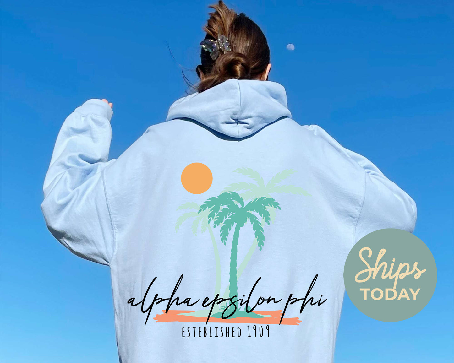 Alpha Epsilon Phi Island Sisterhood Sorority Hoodie _ 33561g