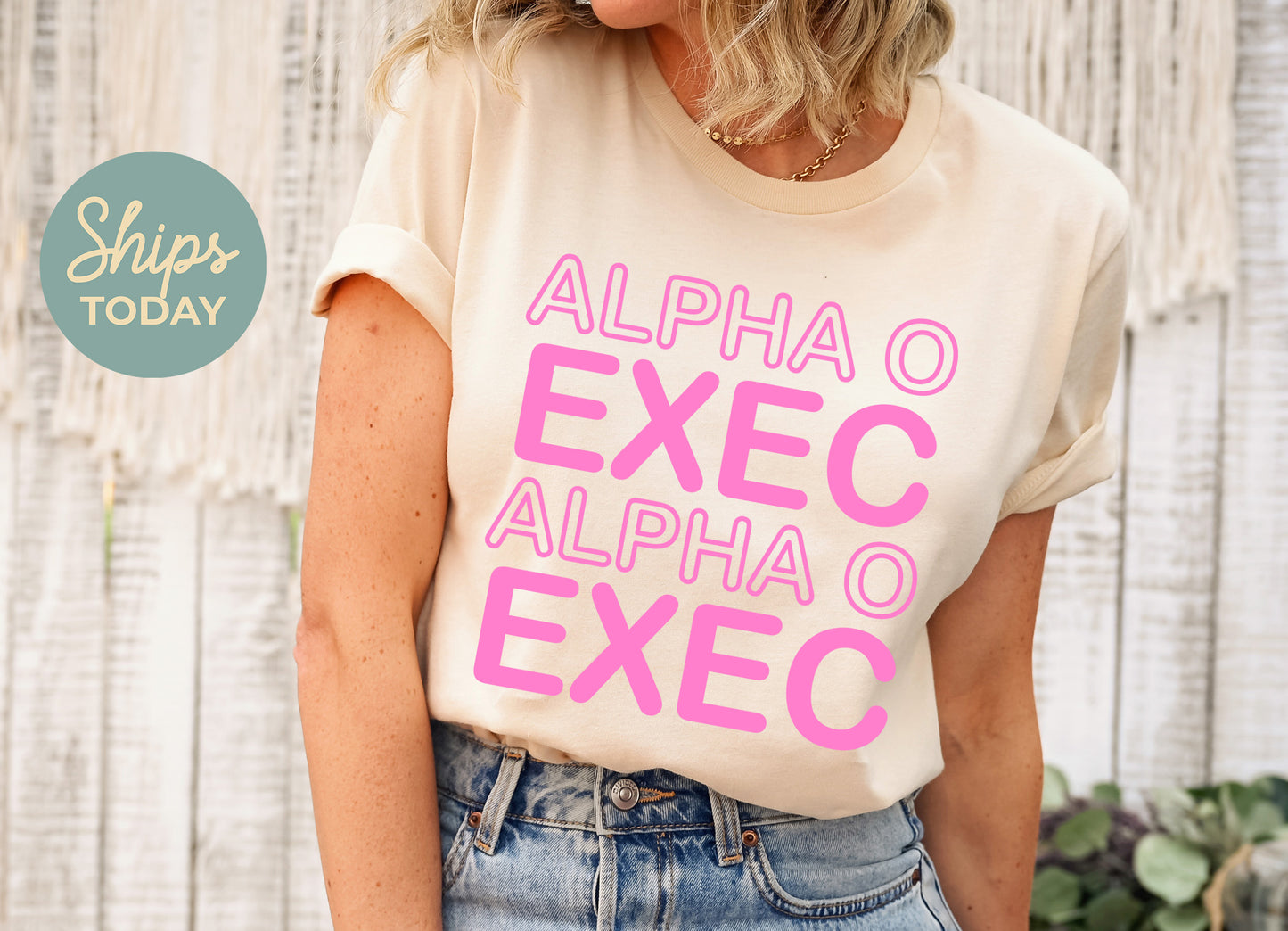 Alpha Omicron Pi Executive Sisterhood Sorority T-shirt _ 30904g