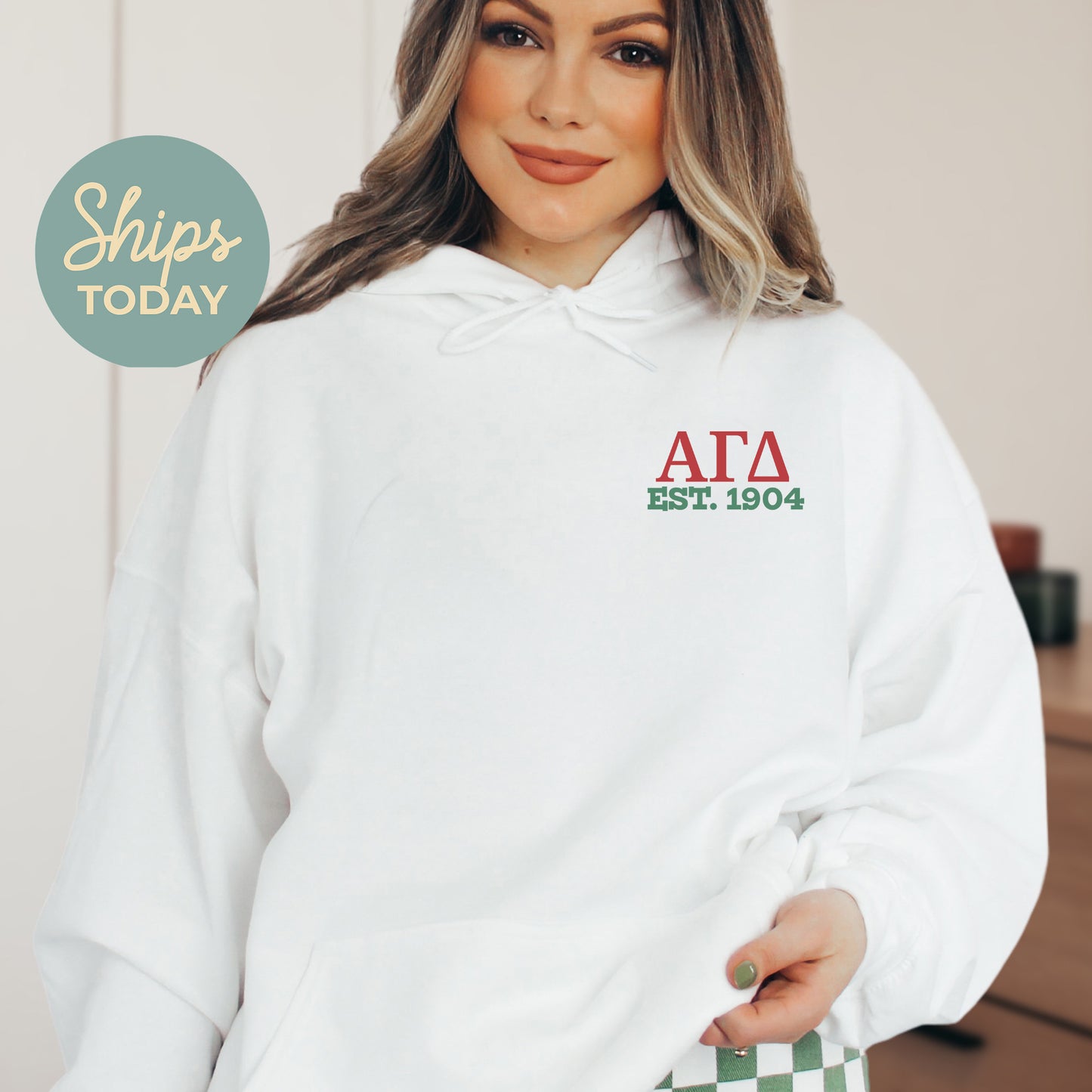 Alpha Gamma Delta Crested Tradition Sorority Hoodie _ 32819g