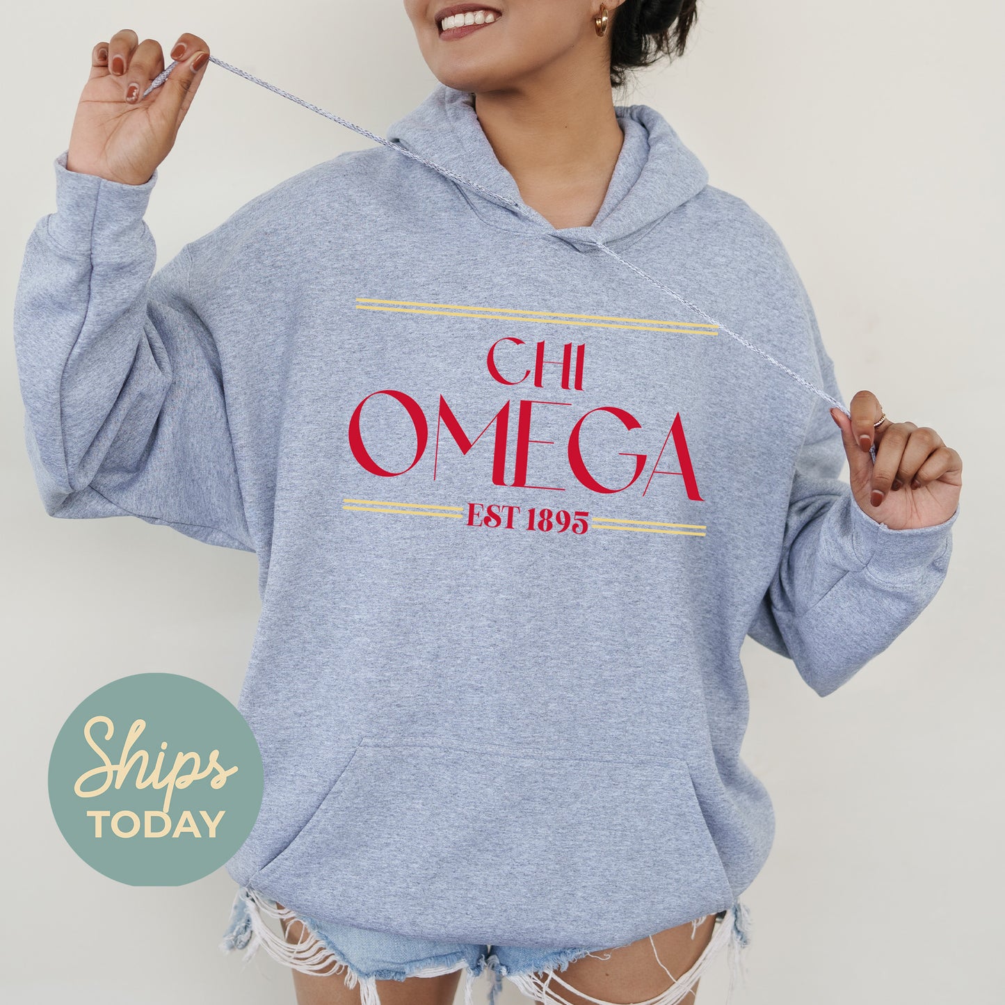 Chi Omega Greek Harmony Sorority Hoodie _ 34973g