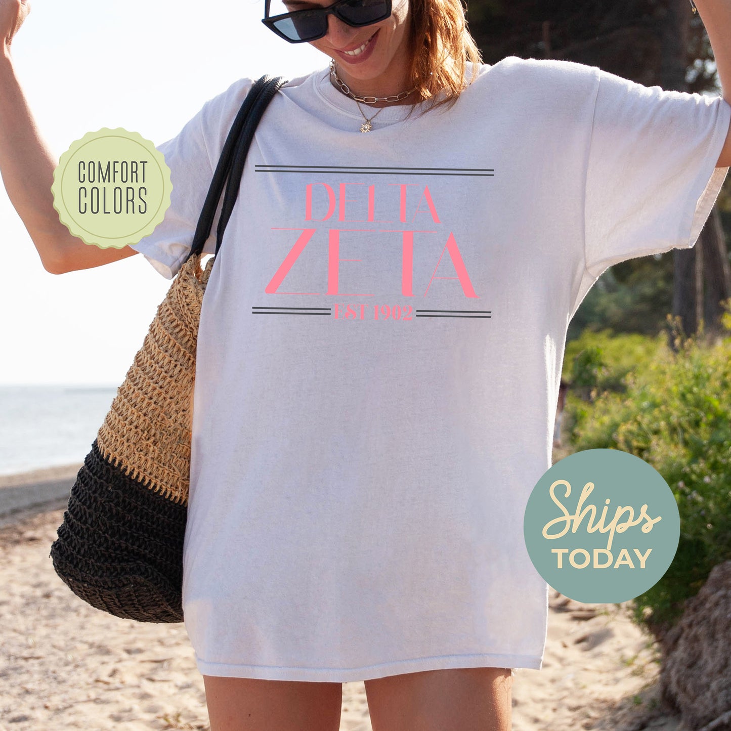 Delta Zeta Greek Harmony Comfort Colors Sorority T-shirt _ 34977g
