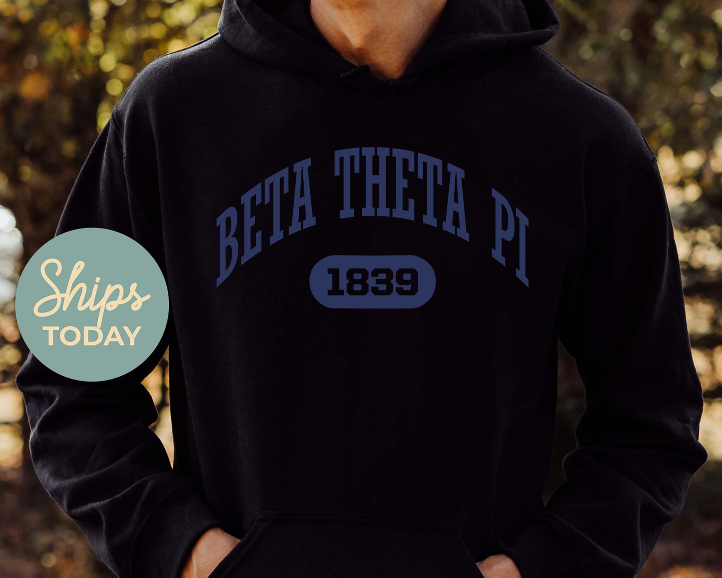 Beta Theta Pi Fraternal Arch Fraternity Hoodie _ 912g