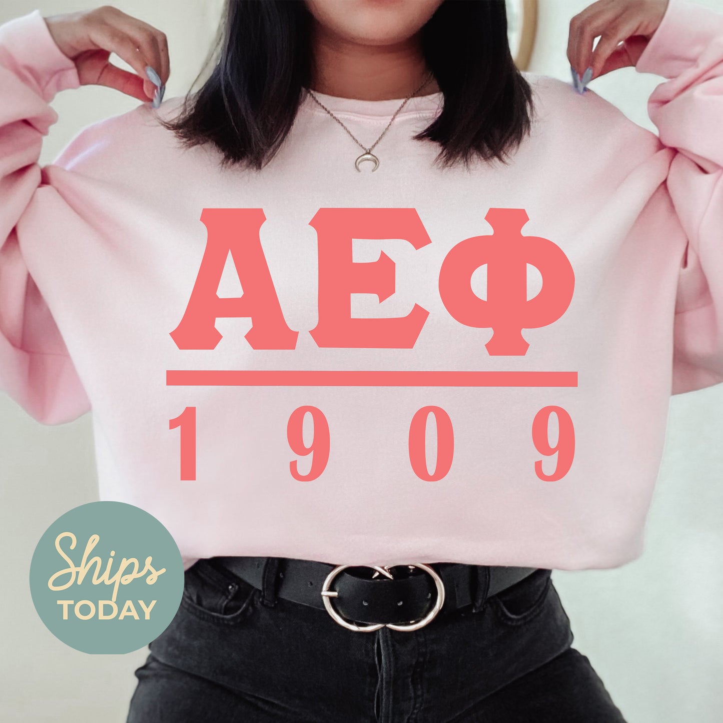 Alpha Epsilon Phi Monochromatic Sorority Sweatshirt _ 30845g