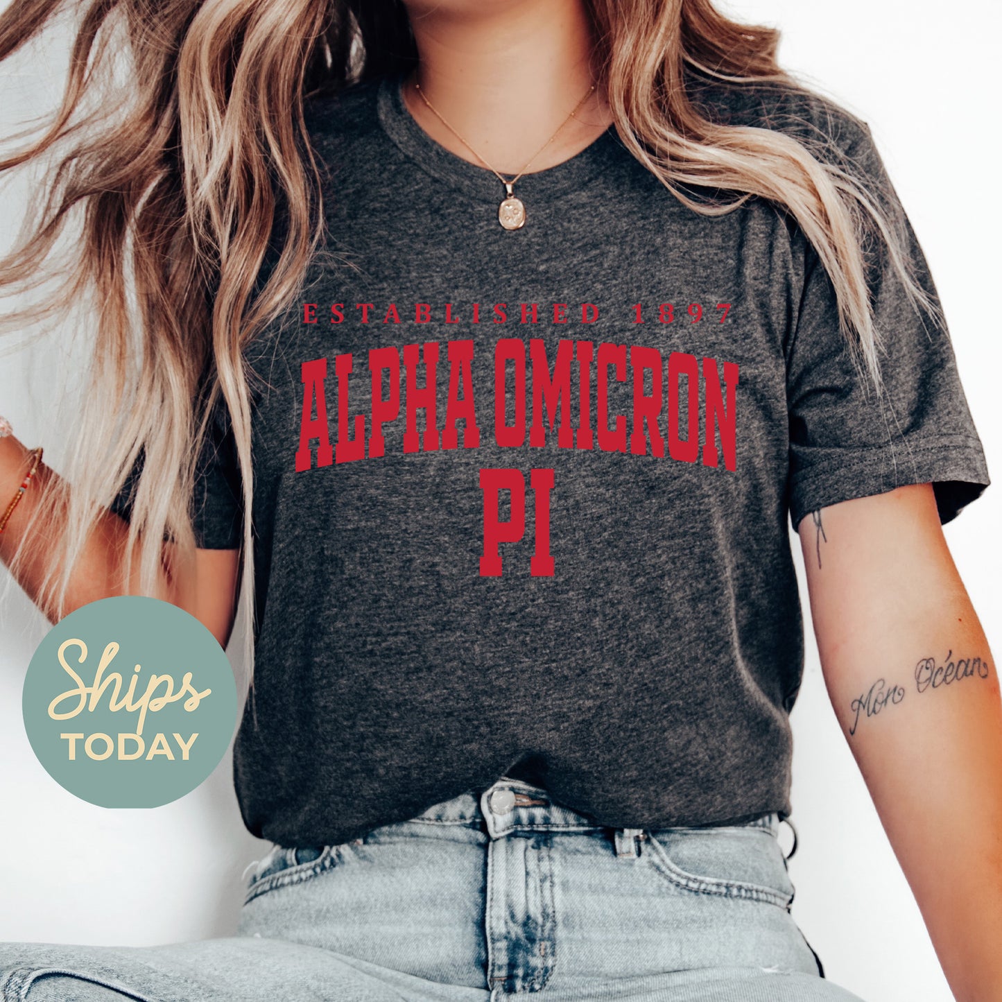 Alpha Omicron Pi Bold Letters Sorority T-shirt _ 35124g
