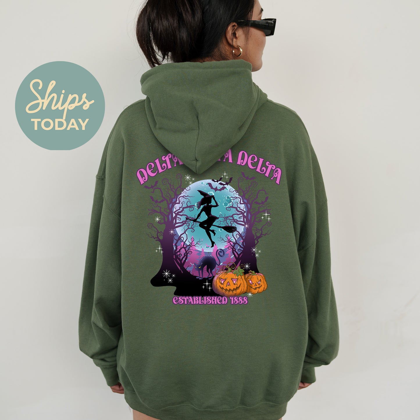 Delta Delta Delta Halloween Witch Sorority Hoodie _ 36236g