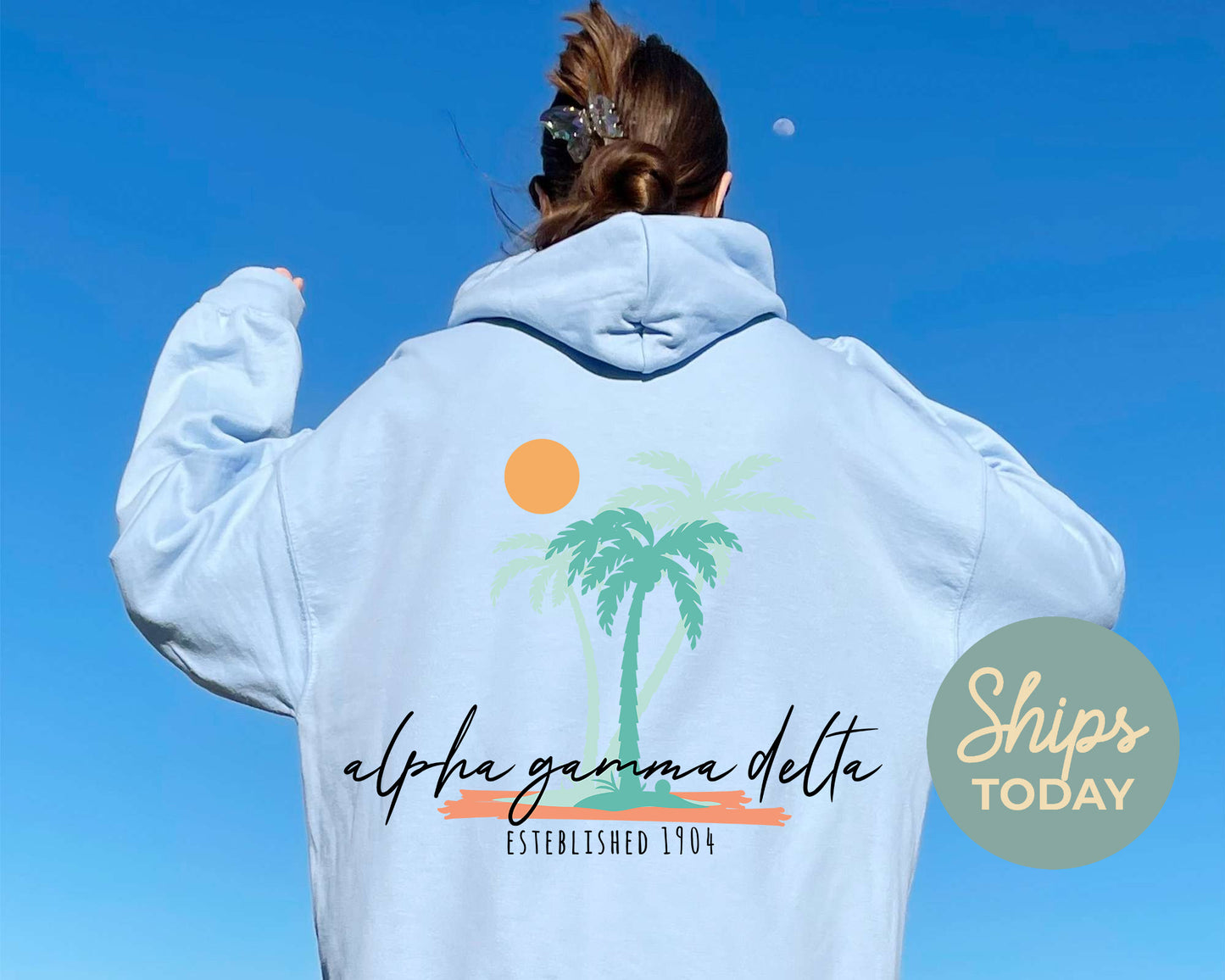 Alpha Gamma Delta Island Sisterhood Sorority Hoodie _ 33562g
