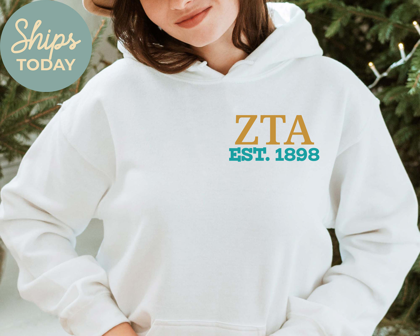 Zeta Tau Alpha Crested Tradition Sorority Hoodie _ 32841g