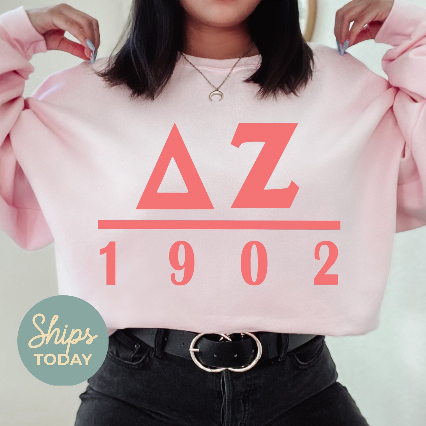Delta Zeta Monochromatic Sorority Sweatshirt _ 30856g