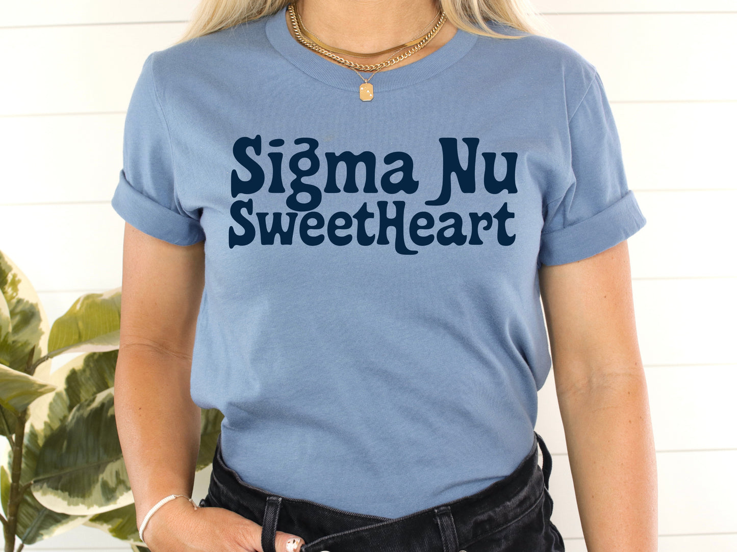 Sigma Nu Trendy Sweetheart Fraternity T-shirt _ 2012g
