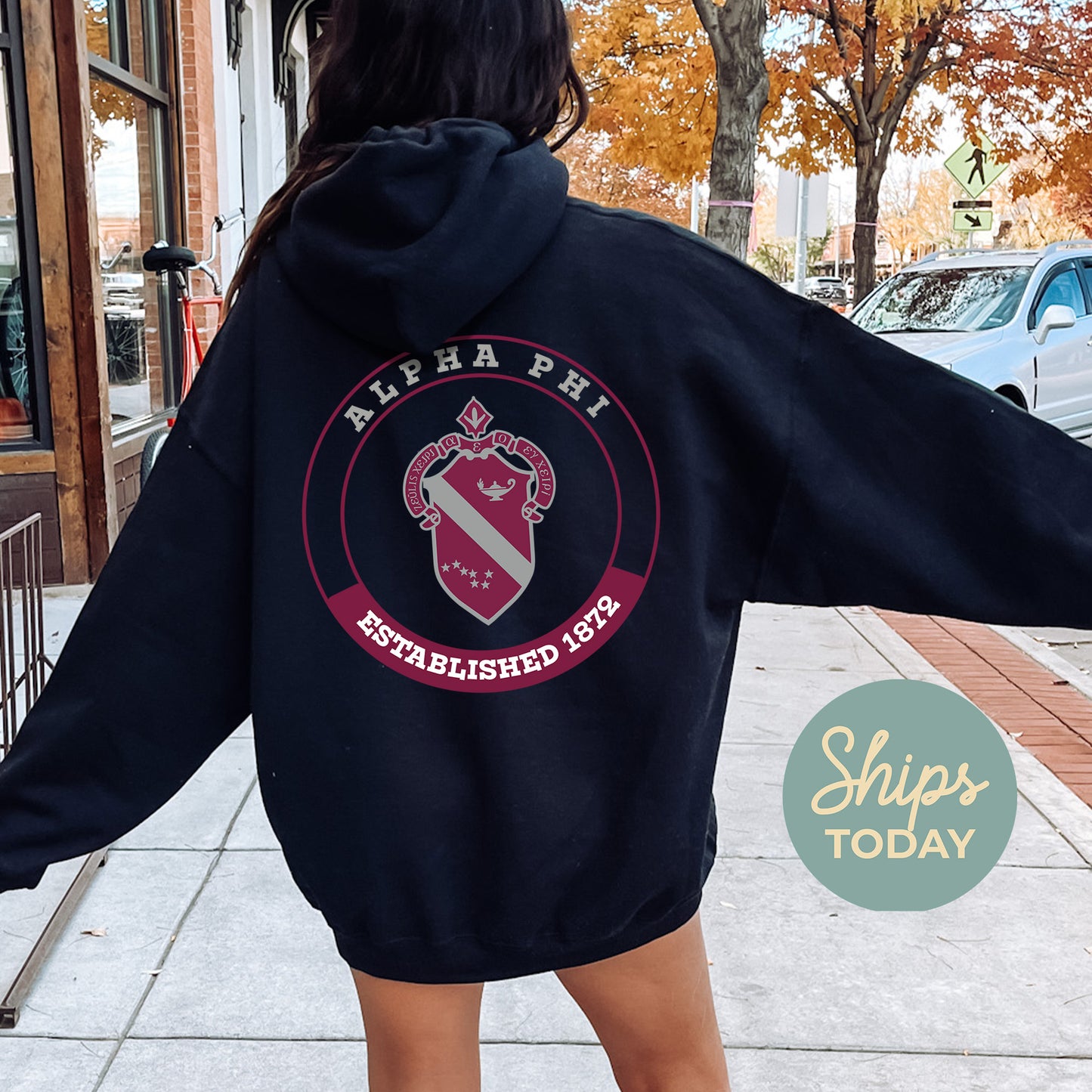 Alpha Phi Crested Tradition Sorority Hoodie _ 32821g