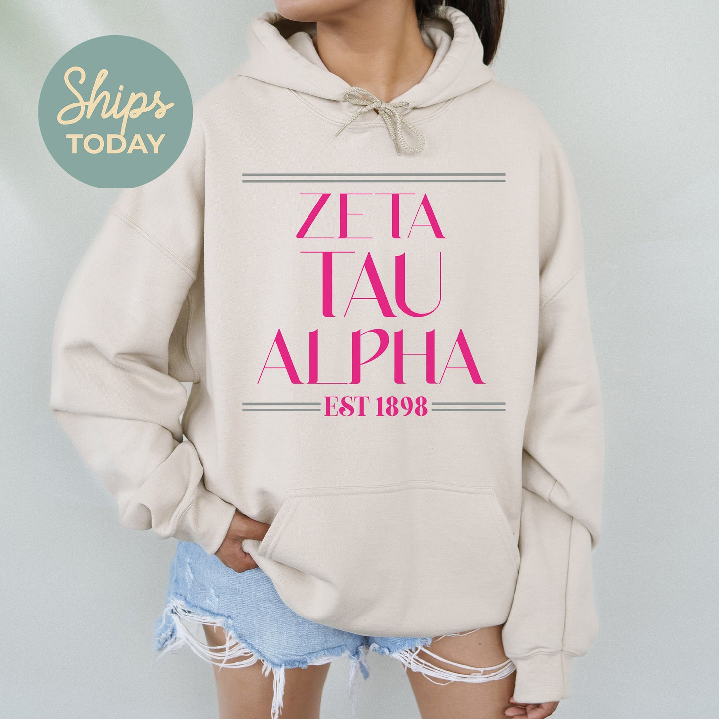 Zeta Tau Alpha Greek Harmony Sorority Hoodie _ 34989g