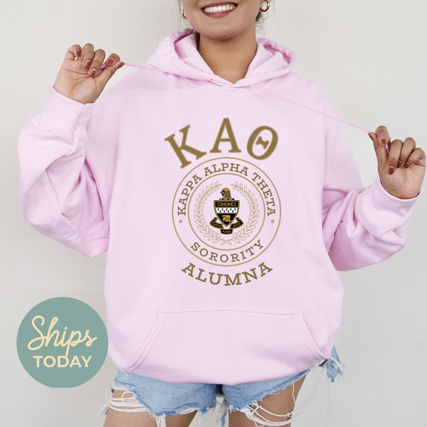 Kappa Alpha Theta Alumna Vintage Sorority Hoodie _ 31024g