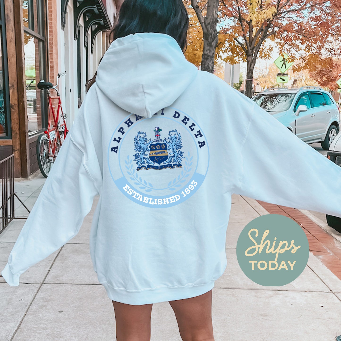 Alpha Xi Delta Crested Tradition Sorority Hoodie _ 32824g