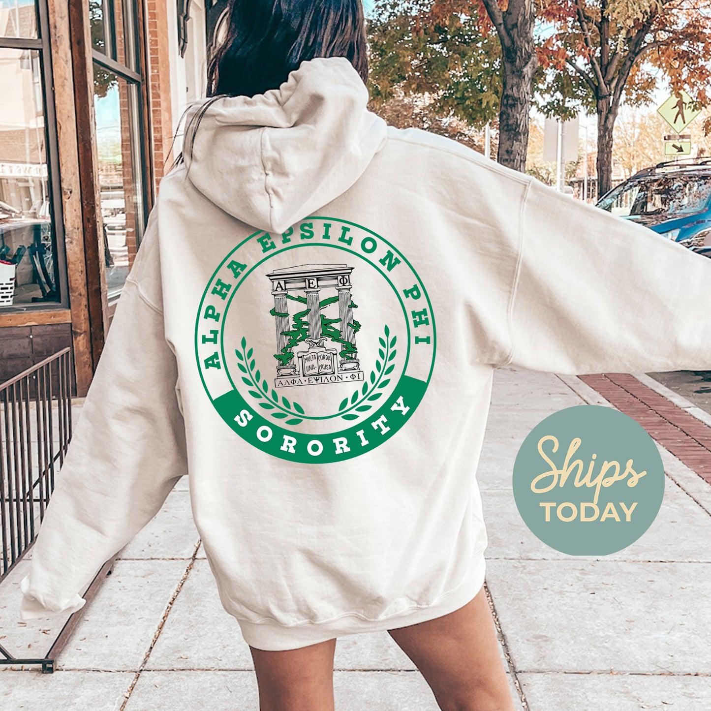 Alpha Epsilon Phi Crested Tradition Sorority Hoodie _ 32818g