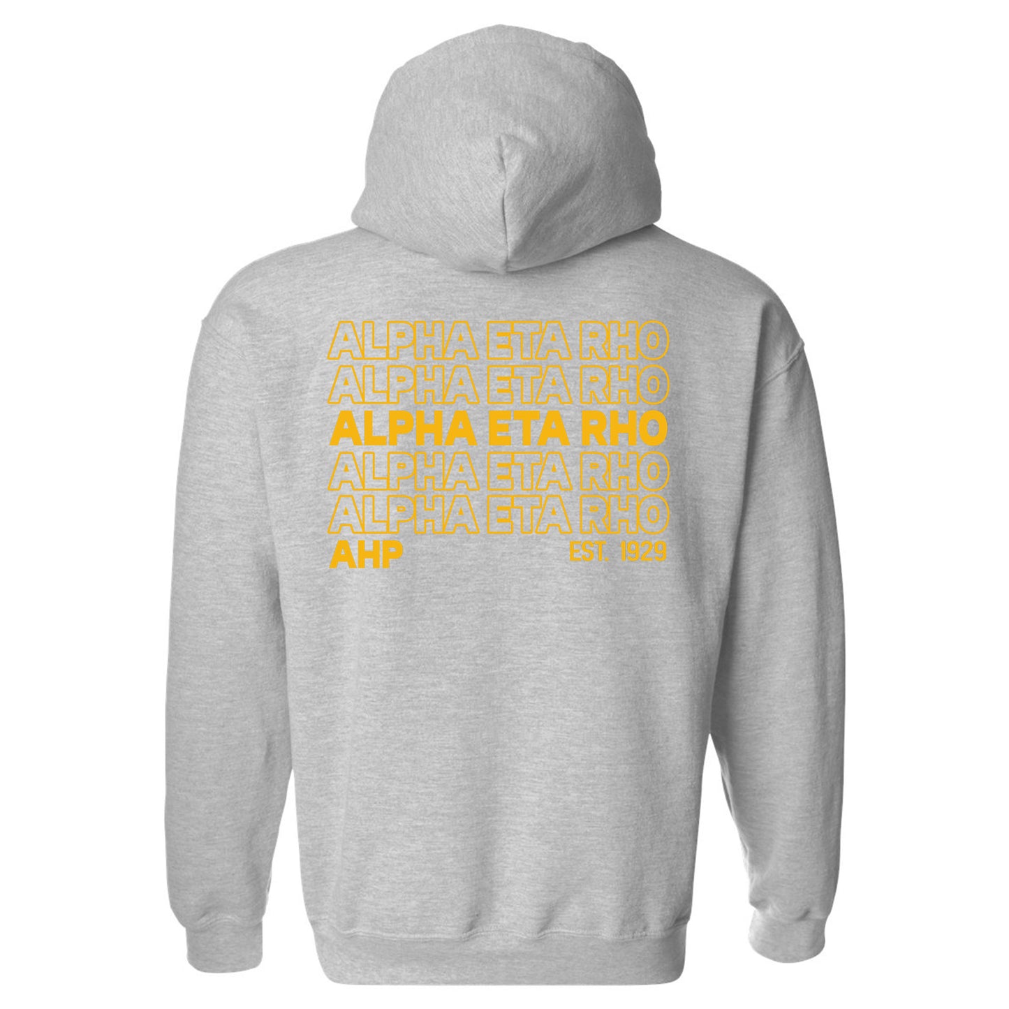 Alpha Eta Rho Repeating Letters COED Hoodie _ 35583g