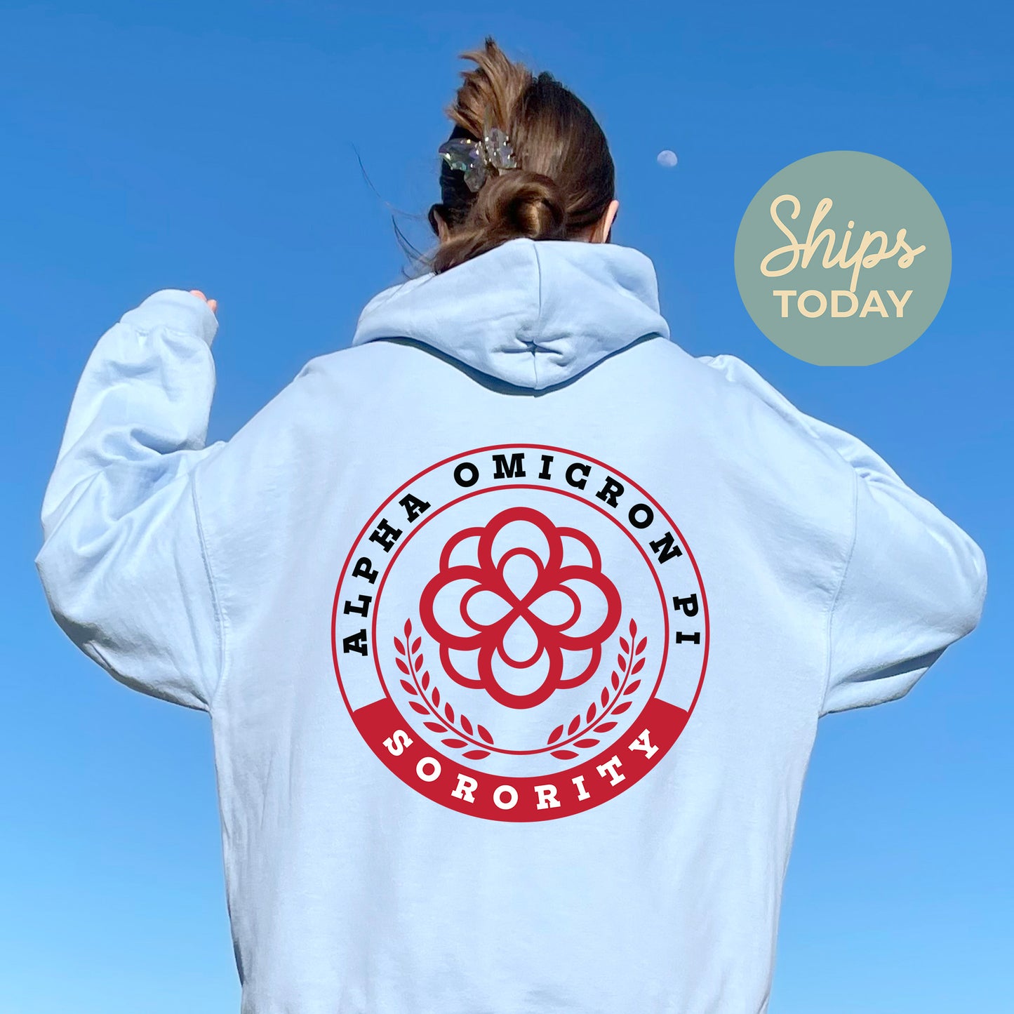 Alpha Omicron Pi Crested Tradition Sorority Hoodie _ 32820g