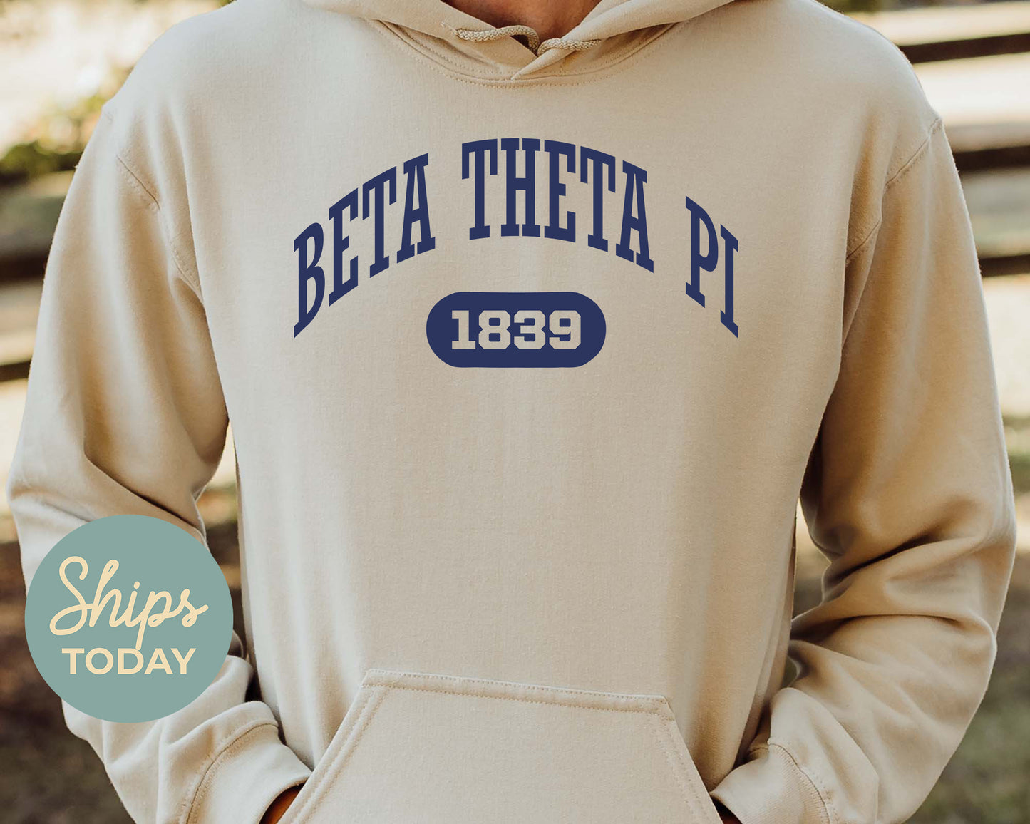 Beta Theta Pi Fraternal Arch Fraternity Hoodie _ 912g