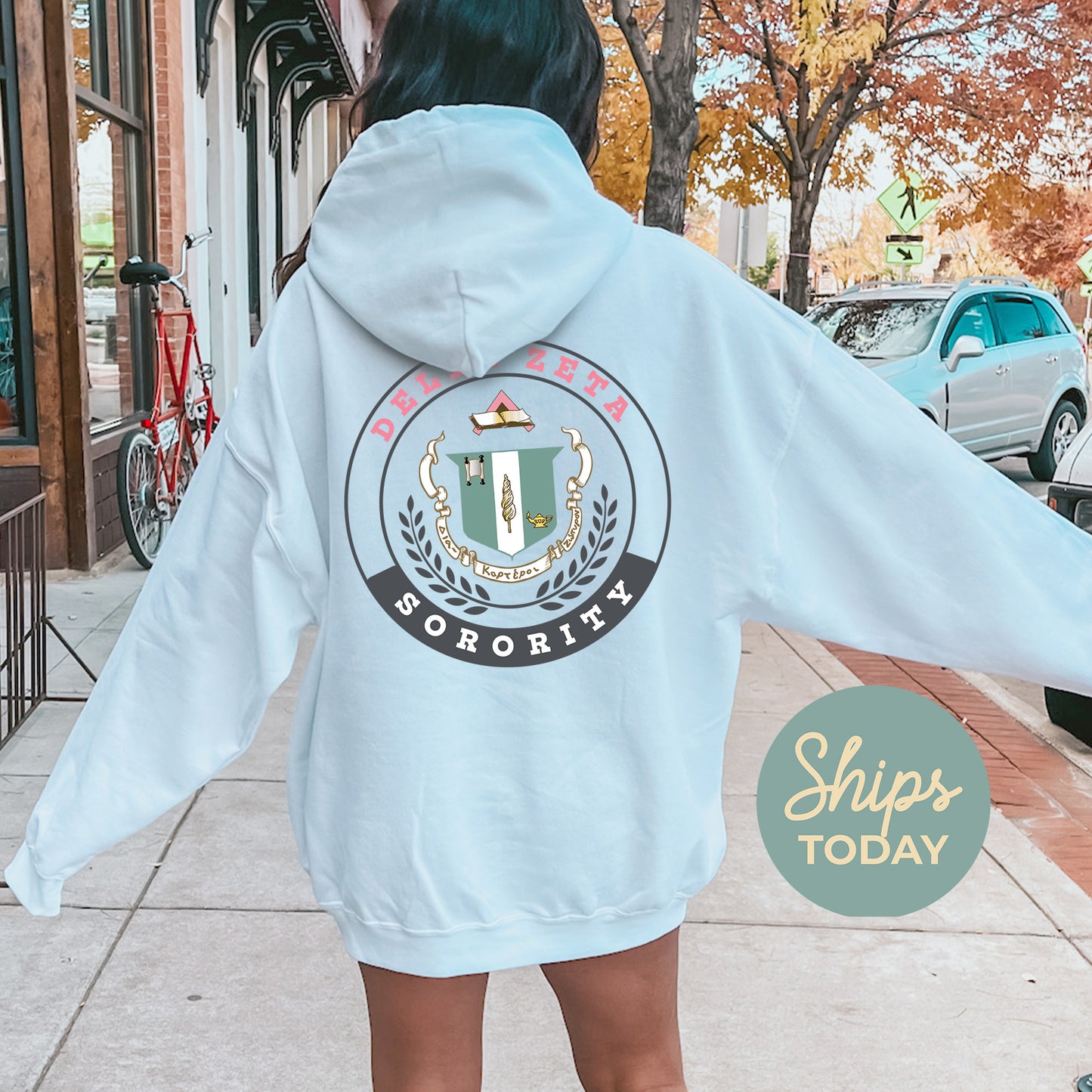 Delta Zeta Crested Tradition Sorority Hoodie _ 32829g