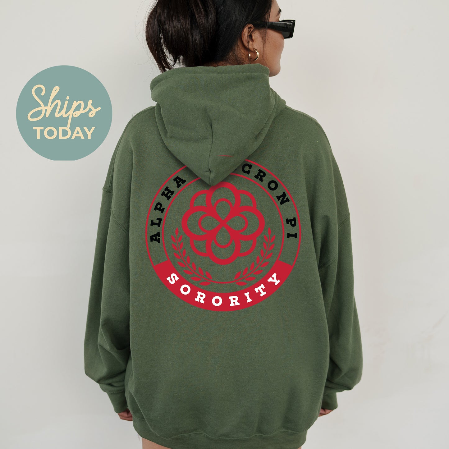 Alpha Omicron Pi Crested Tradition Sorority Hoodie _ 32820g