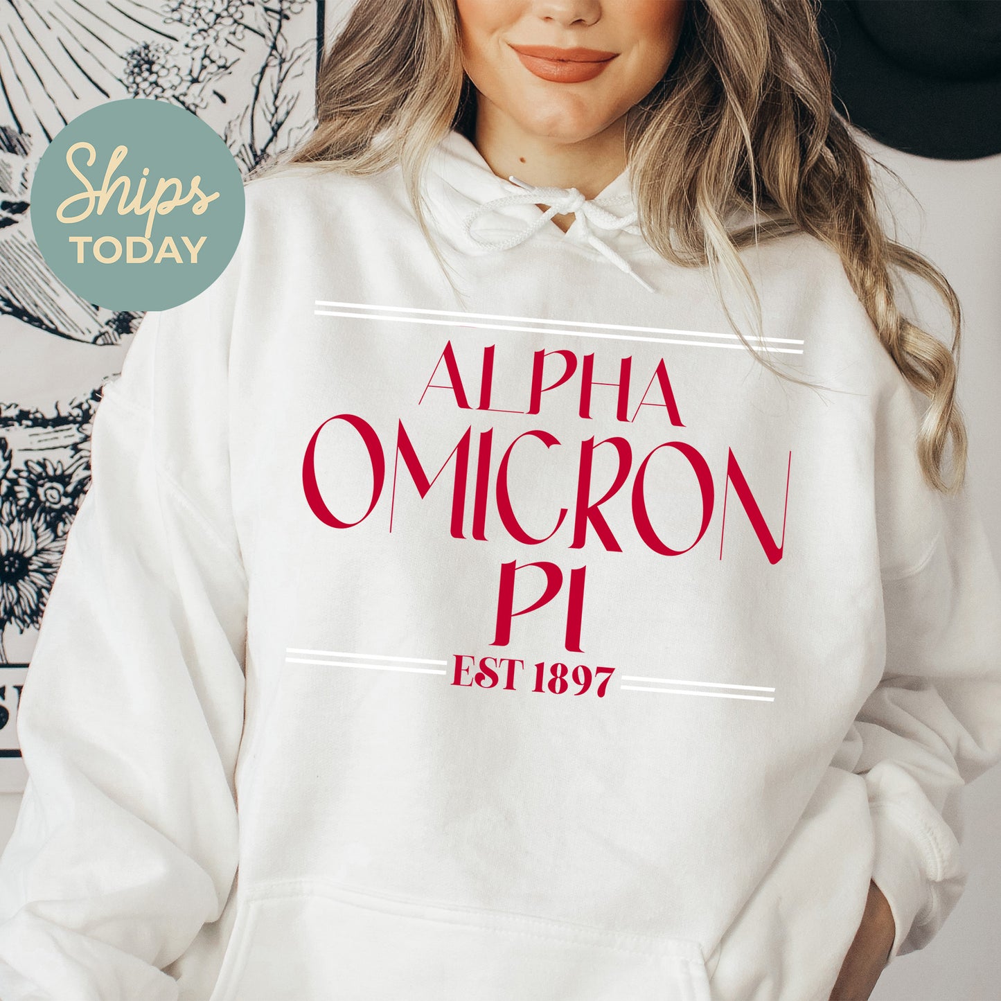 Alpha Omicron Pi Greek Harmony Sorority Hoodie _ 34968g