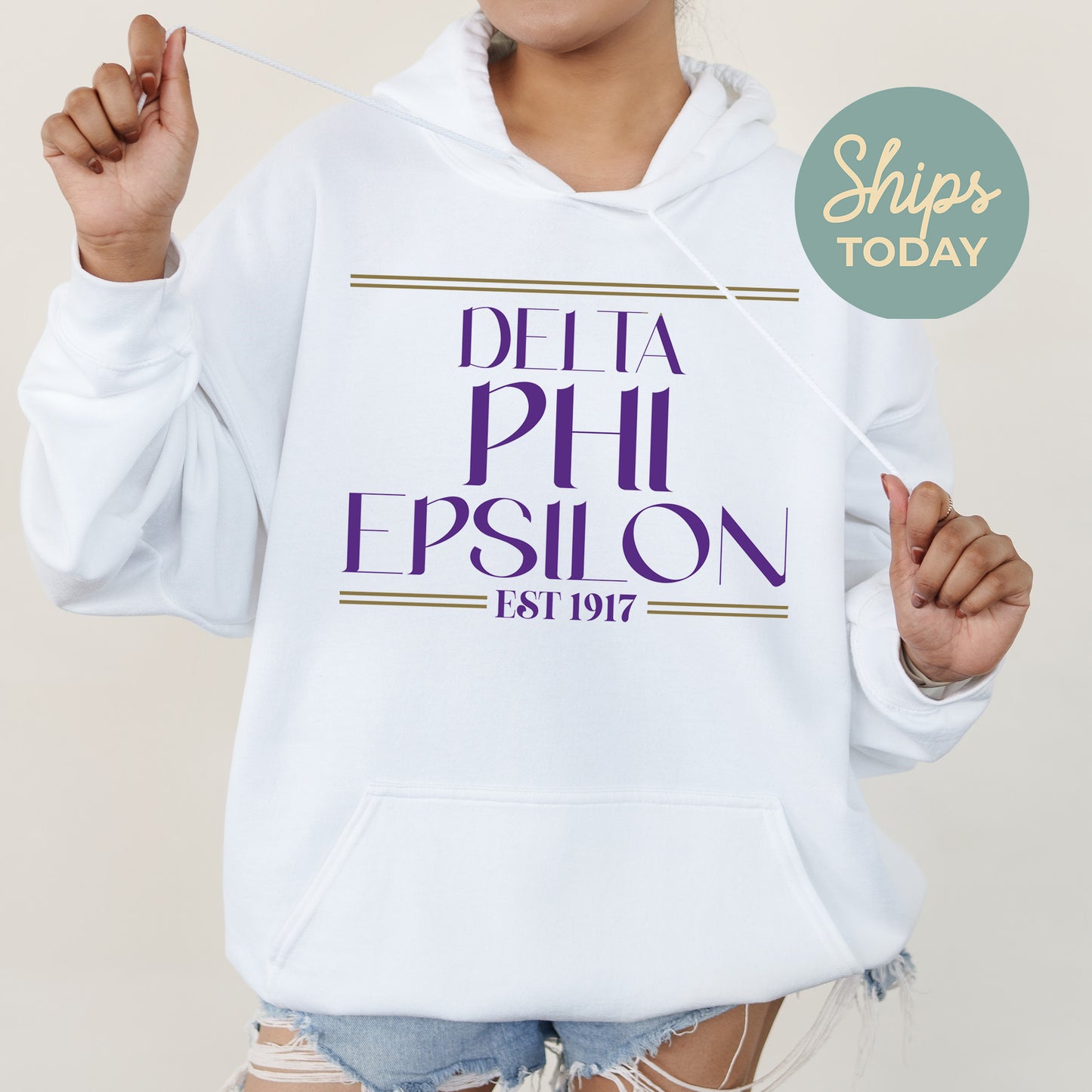 Delta Phi Epsilon Greek Harmony Sorority Hoodie _ 34976g