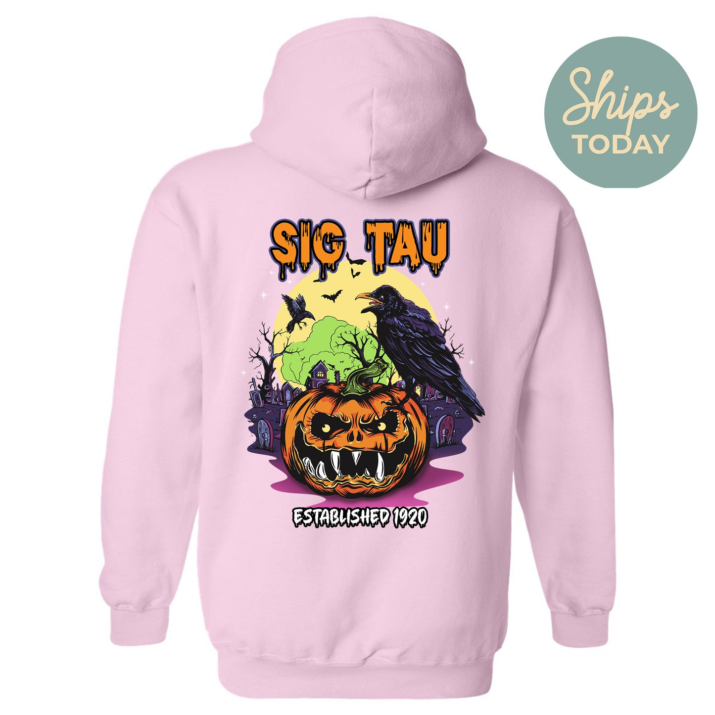Sigma Tau Gamma Halloween Bats Fraternity Hoodie _ 36278g