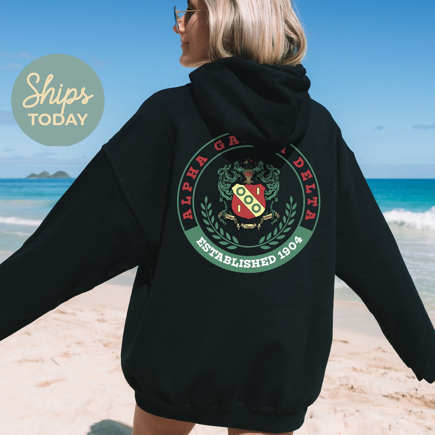 Alpha Gamma Delta Crested Tradition Sorority Hoodie _ 32819g
