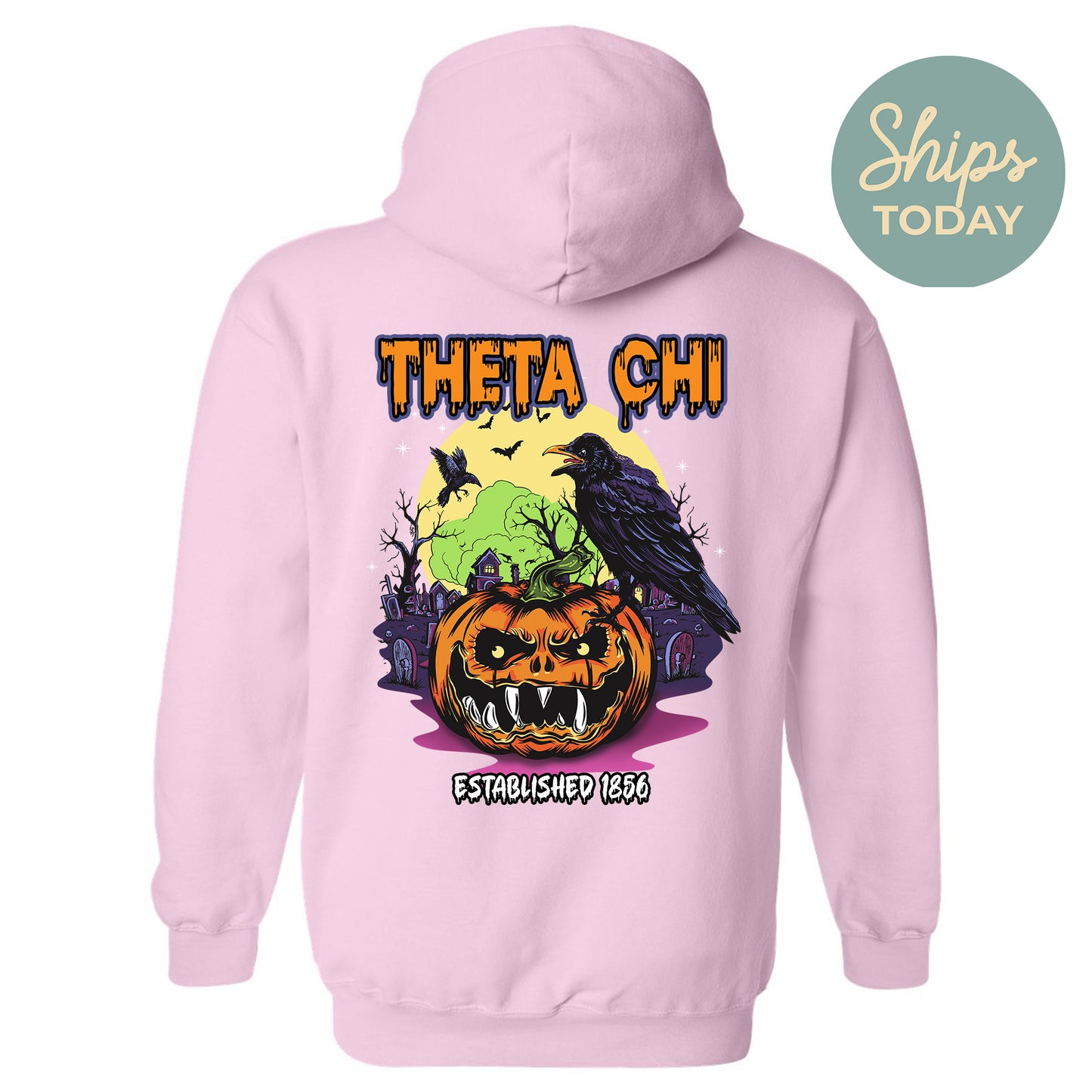Theta Chi Halloween Bats Fraternity Hoodie _ 36280g
