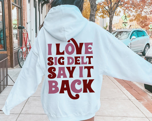 Sigma Delta Tau Say it Back Sorority Hoodie _ 33393g
