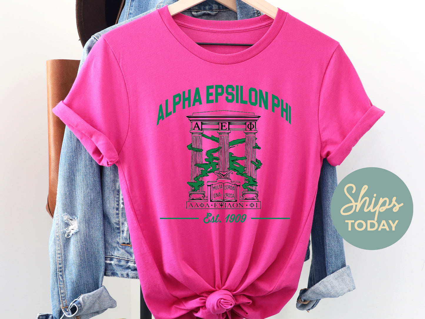 Alpha Epsilon Phi Loyalty Crest Sorority T-shirt _ 4422g