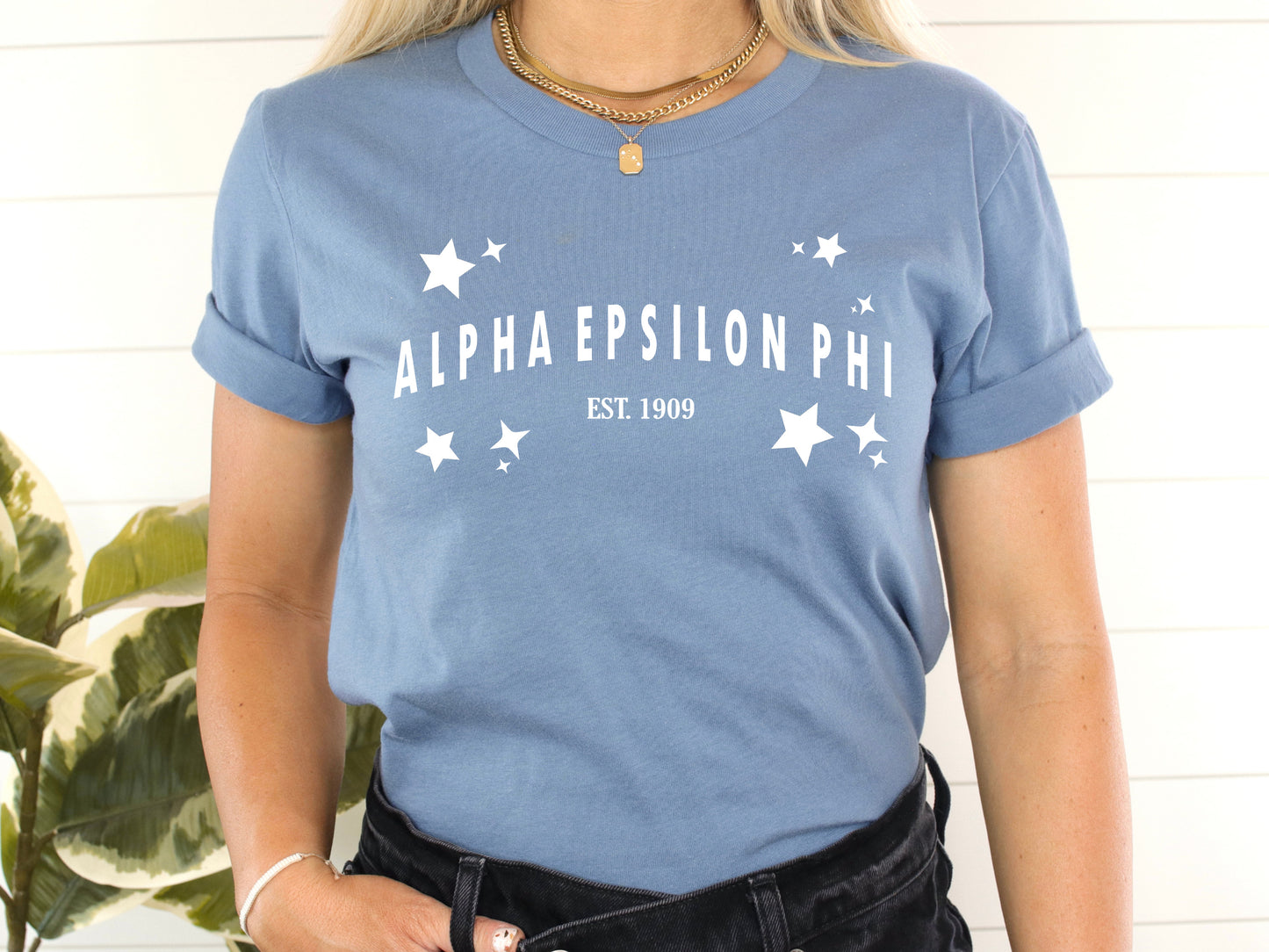 Alpha Epsilon Phi Arched Star Sorority T-shirt _ 2266g