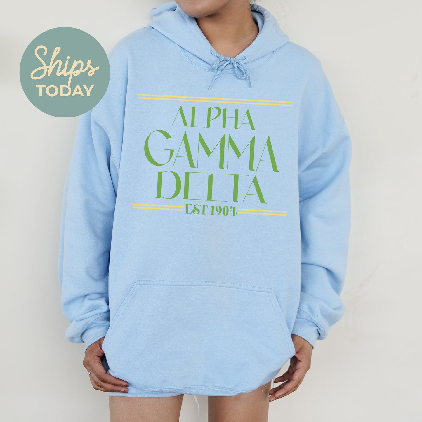 Alpha Gamma Delta Greek Harmony Sorority Hoodie _ 34967g