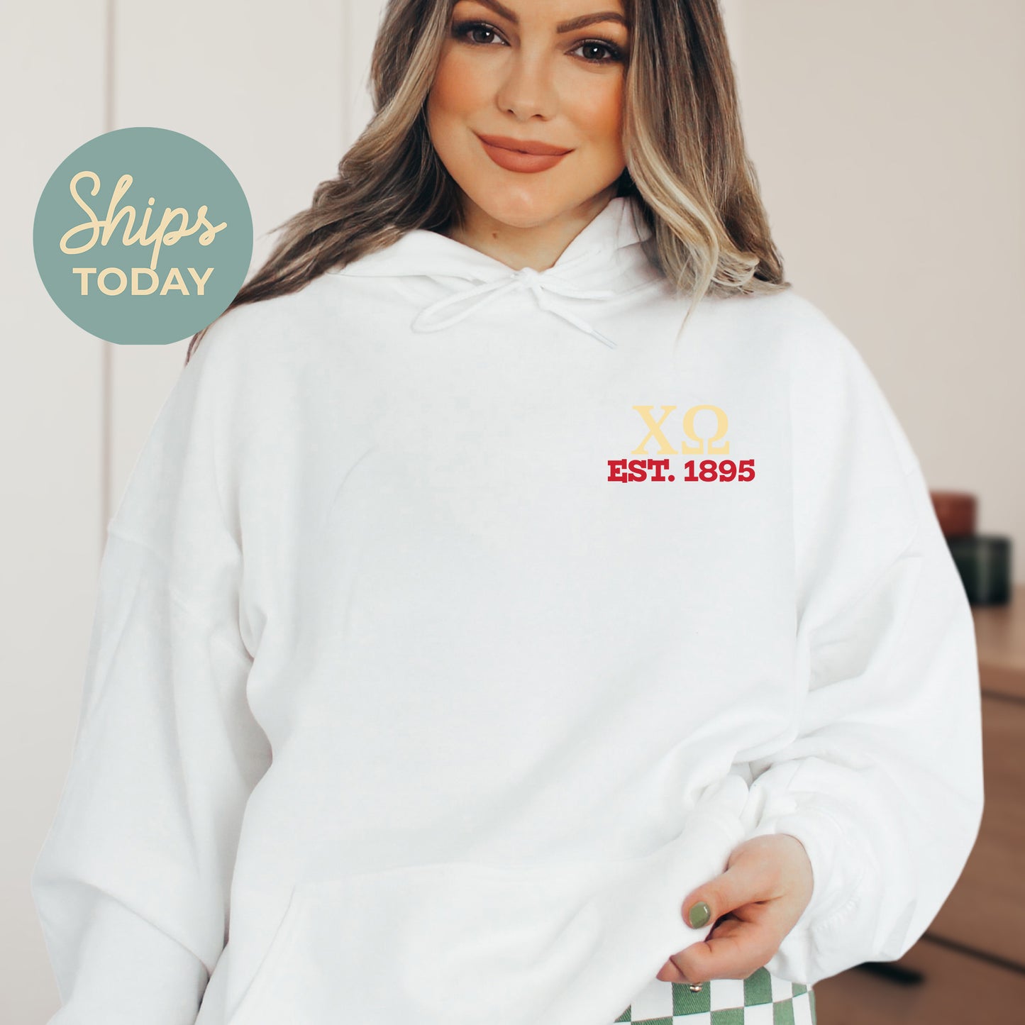 Chi Omega Crested Tradition Sorority Hoodie _ 32825g
