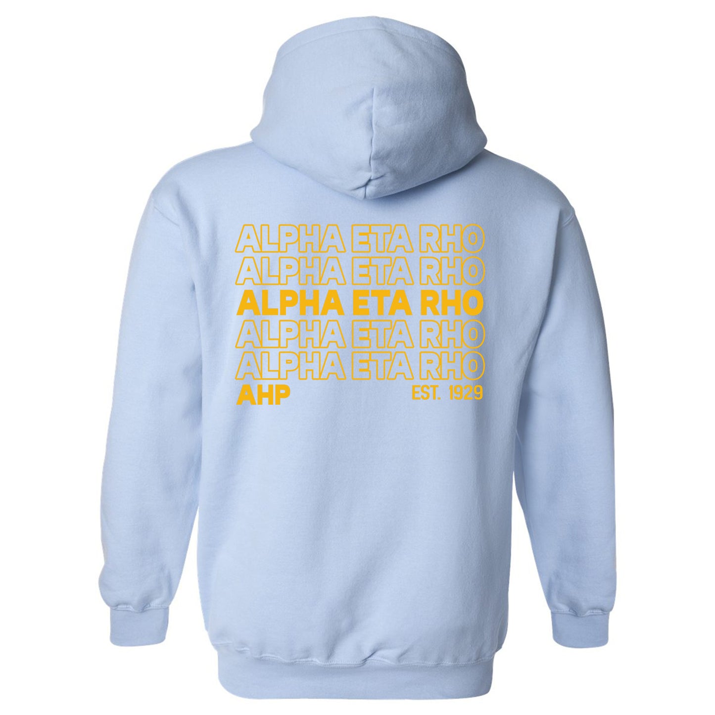 Alpha Eta Rho Repeating Letters COED Hoodie _ 35583g