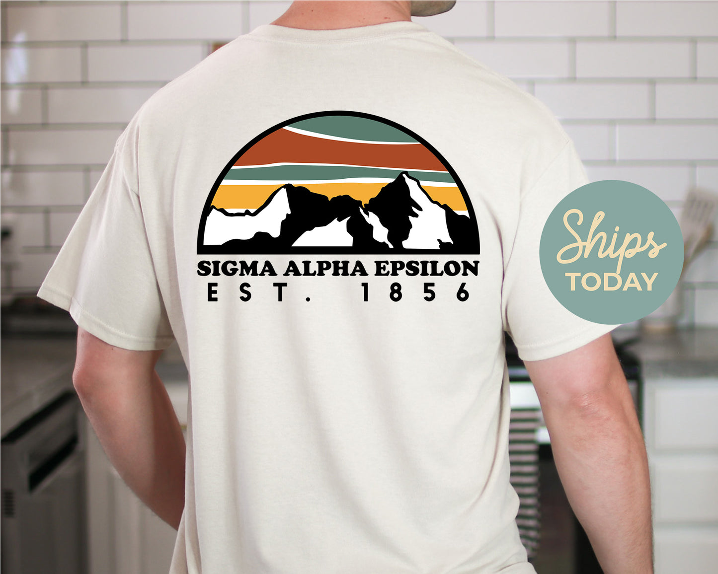 Sigma Alpha Epsilon Fraternal Summit Fraternity T-shirt _ 31665g