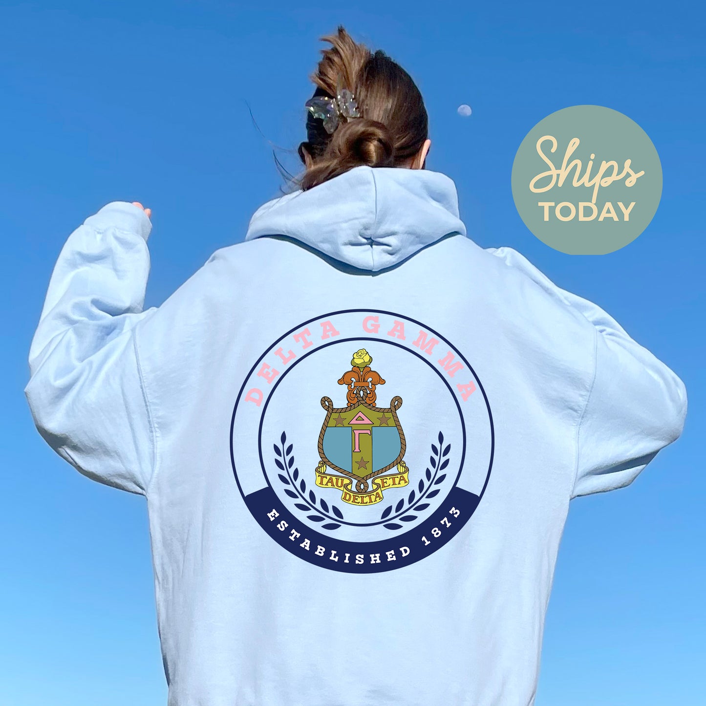 Delta Gamma Crested Tradition Sorority Hoodie _ 32827g