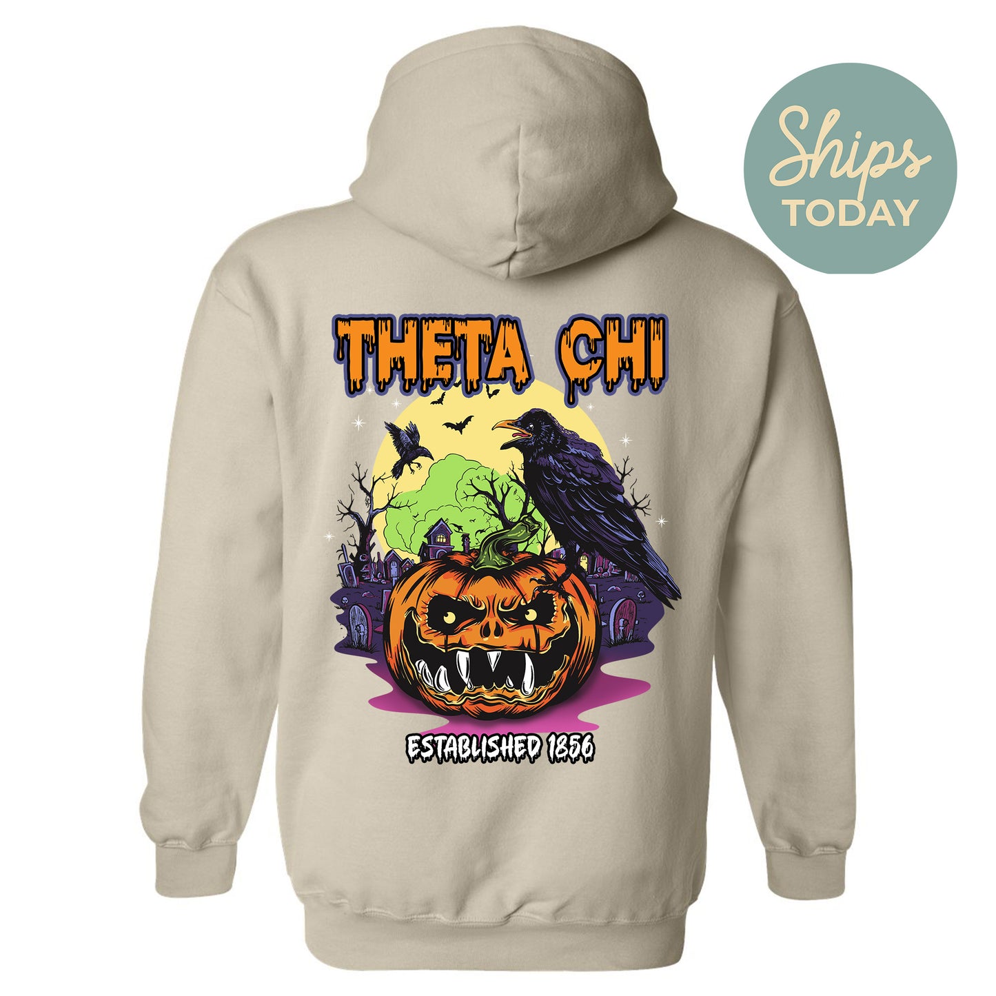 Theta Chi Halloween Bats Fraternity Hoodie _ 36280g