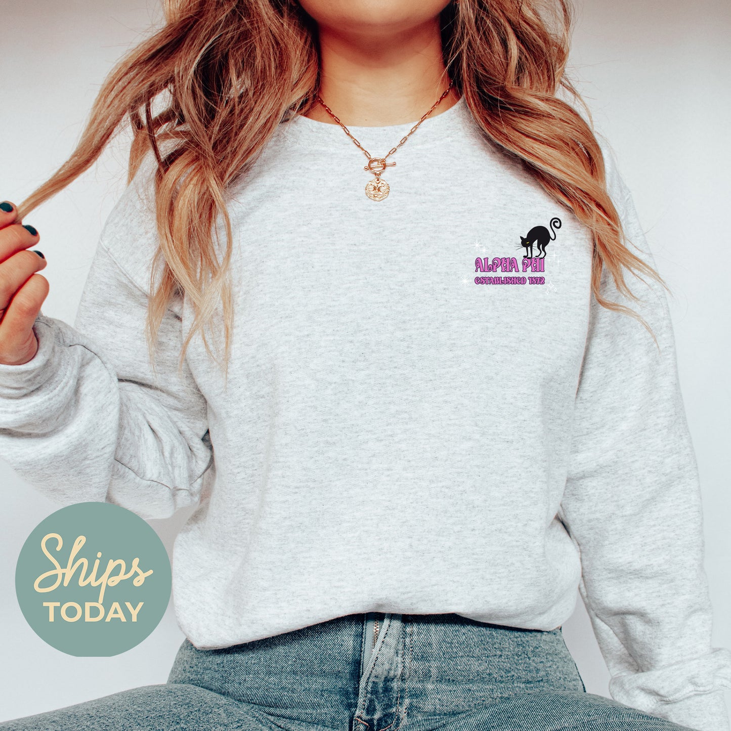 Alpha Phi Halloween Witch Sorority Sweatshirt _ 36231g