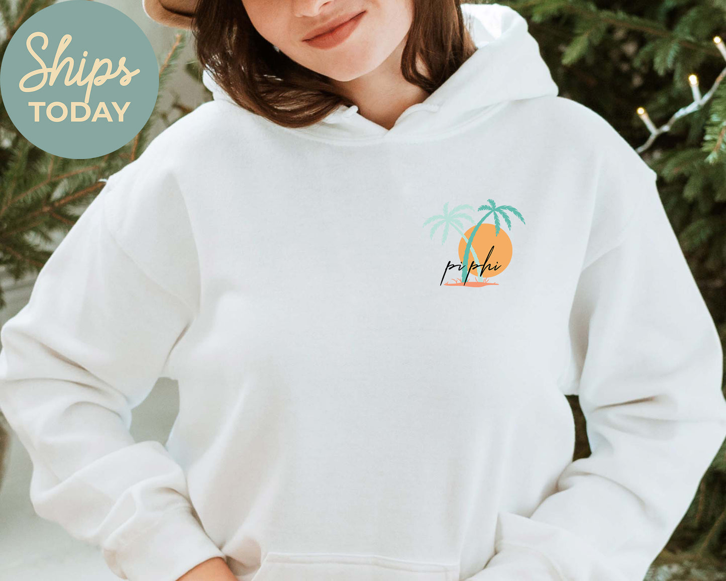 Pi Beta Phi Island Sisterhood Sorority Hoodie _ 33579g