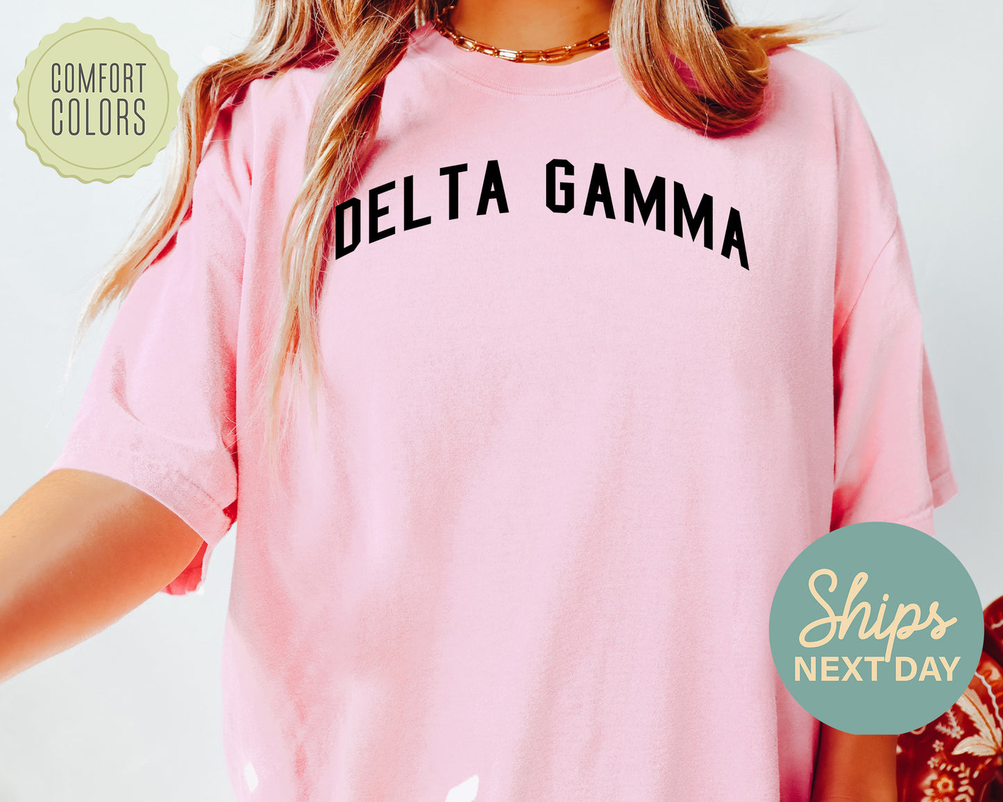 Delta Gamma Just Bold Comfort Colors Sorority T-shirt _ 2380g