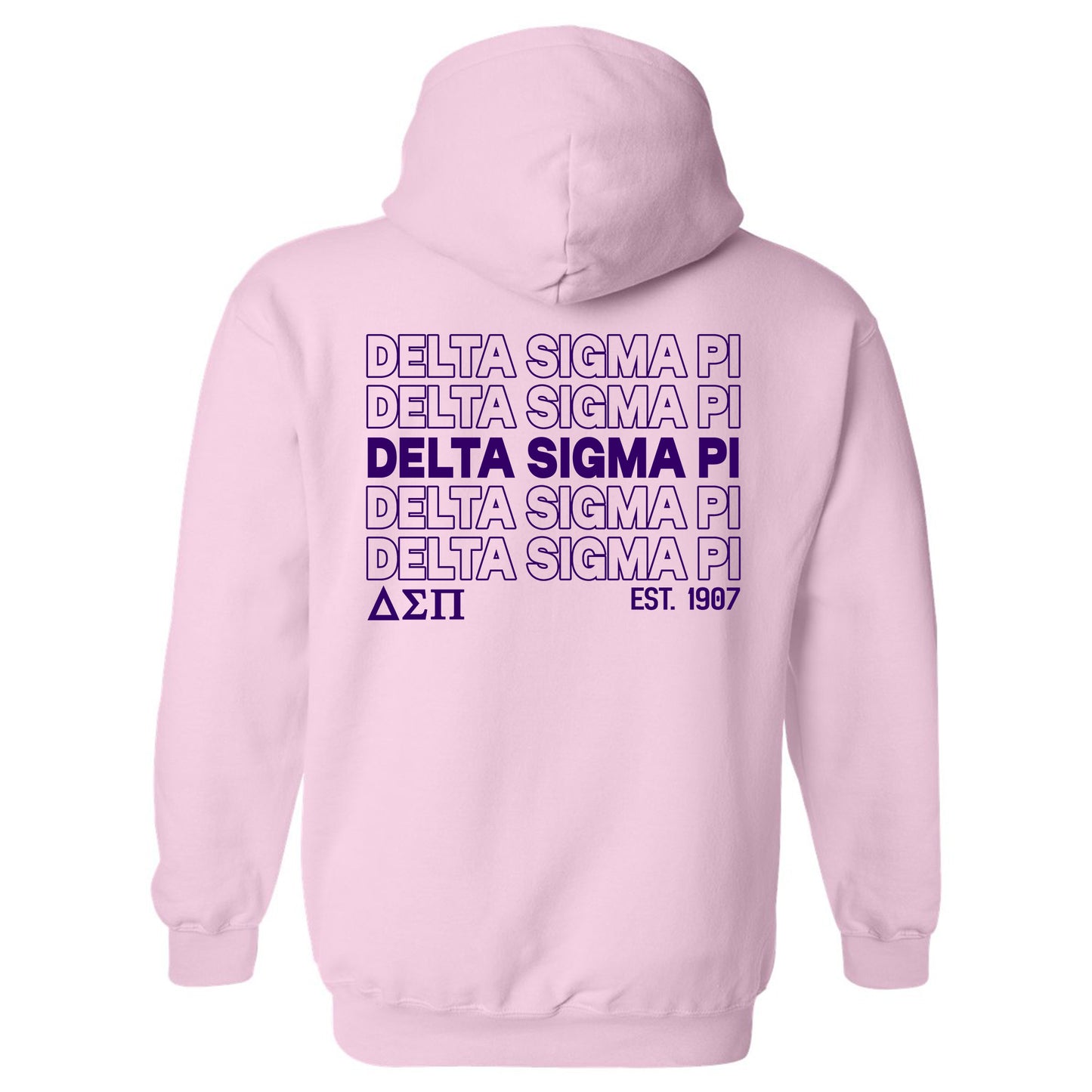 Delta Sigma Pi Repeating Letters COED Hoodie _ 35588g