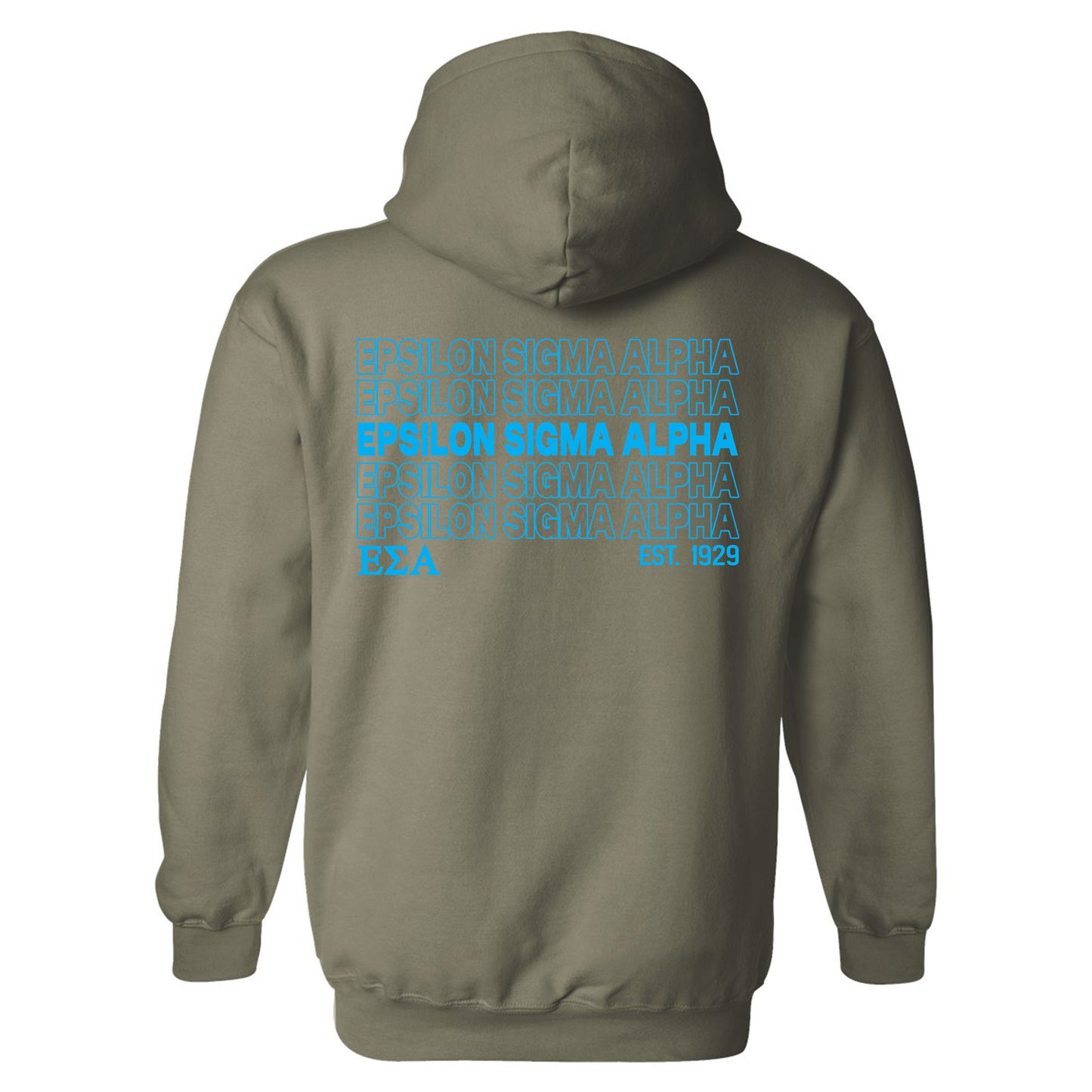 Epsilon Sigma Alpha Repeating Letters COED Hoodie _ 35589g